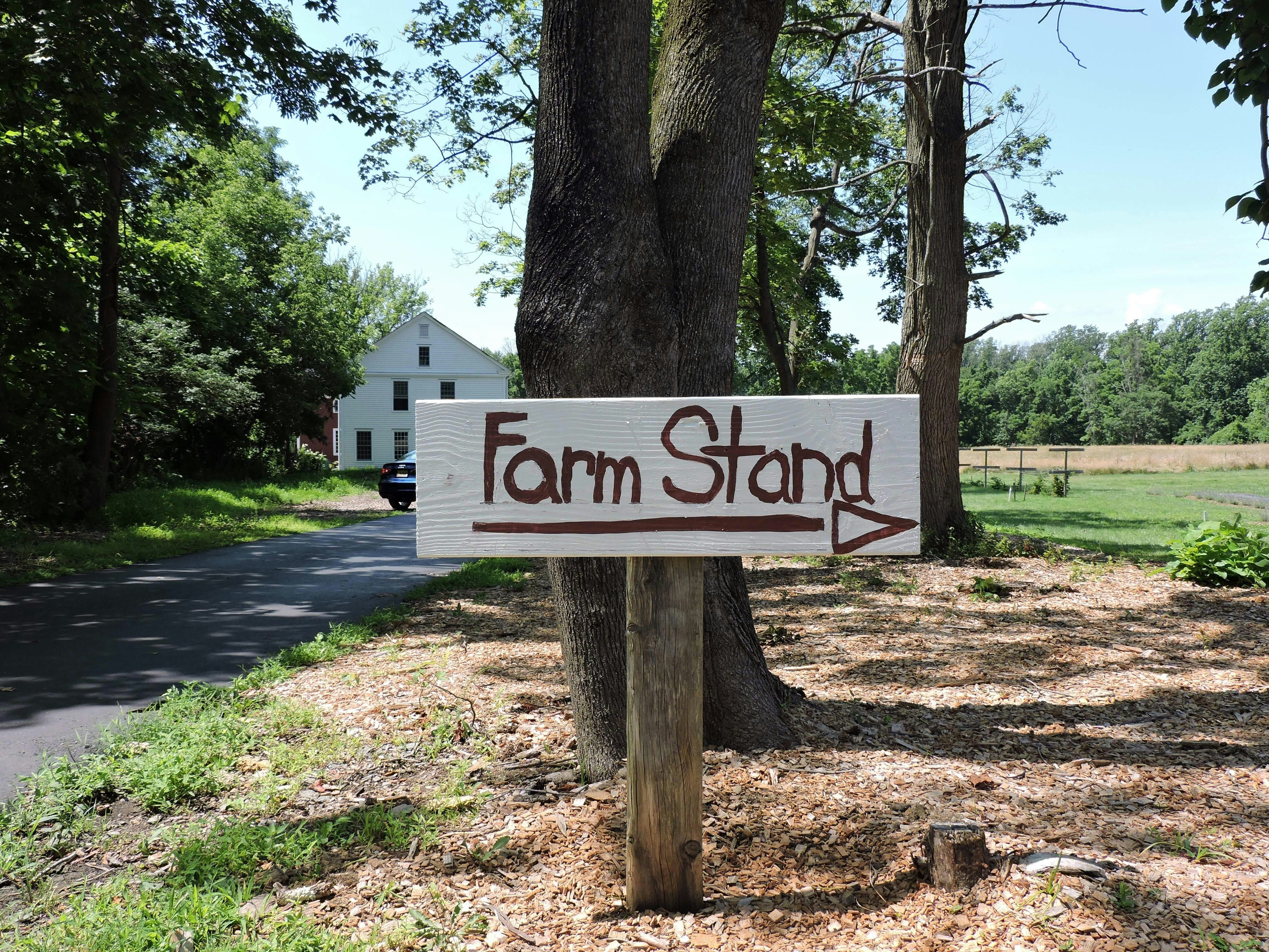 Farm sign on tree