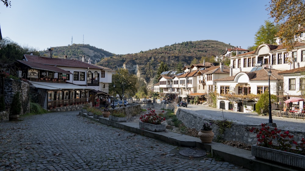 a stone road with houses on either side of it