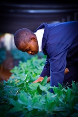 a person looking at a plant