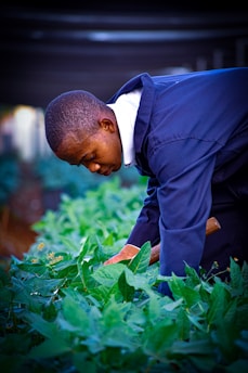 a person looking at a plant