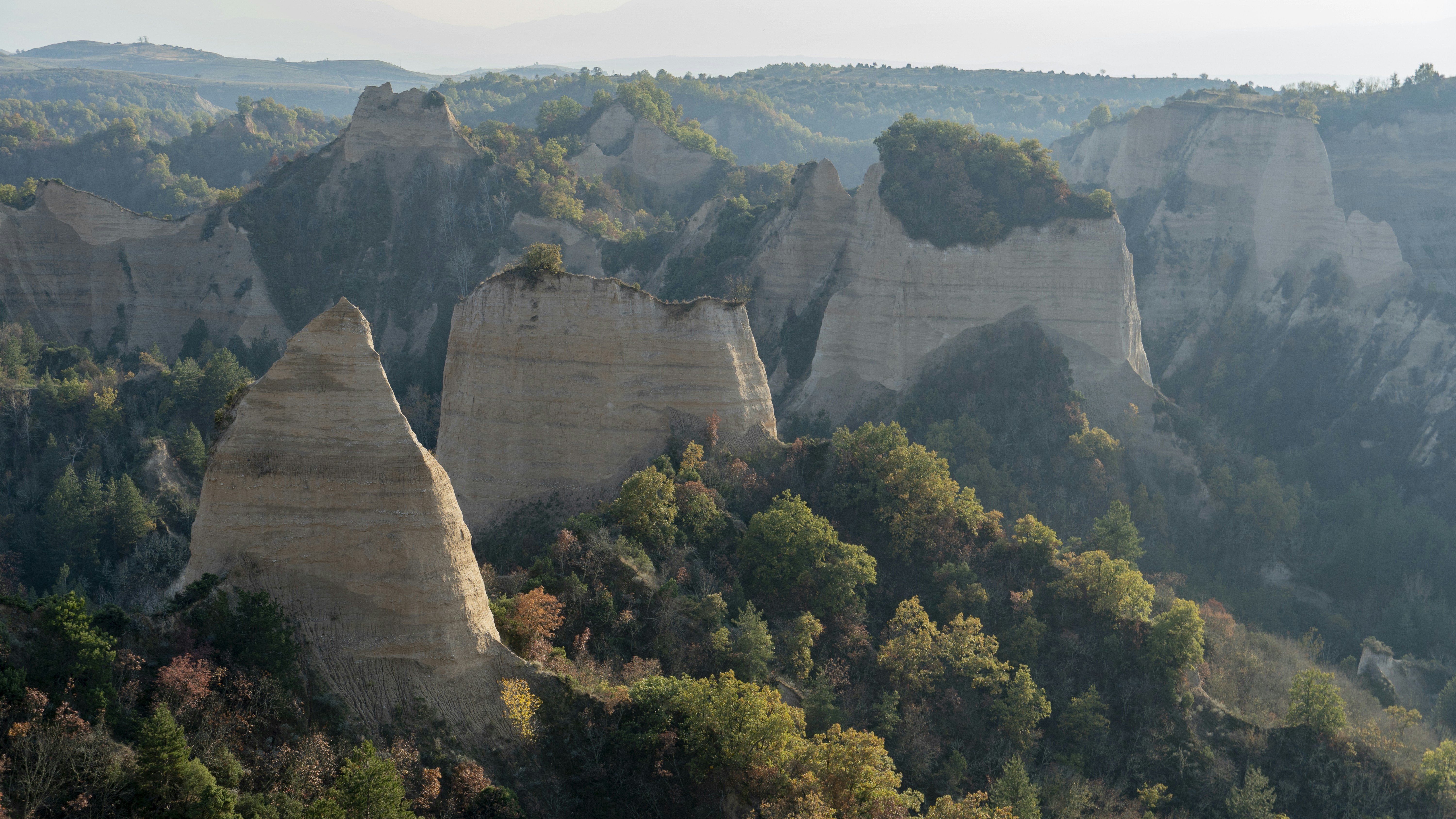a large rock cliff with trees on it