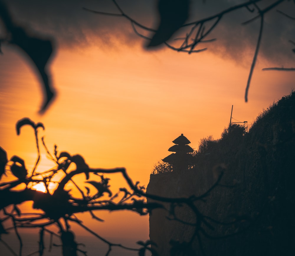 silhouette of a building and trees