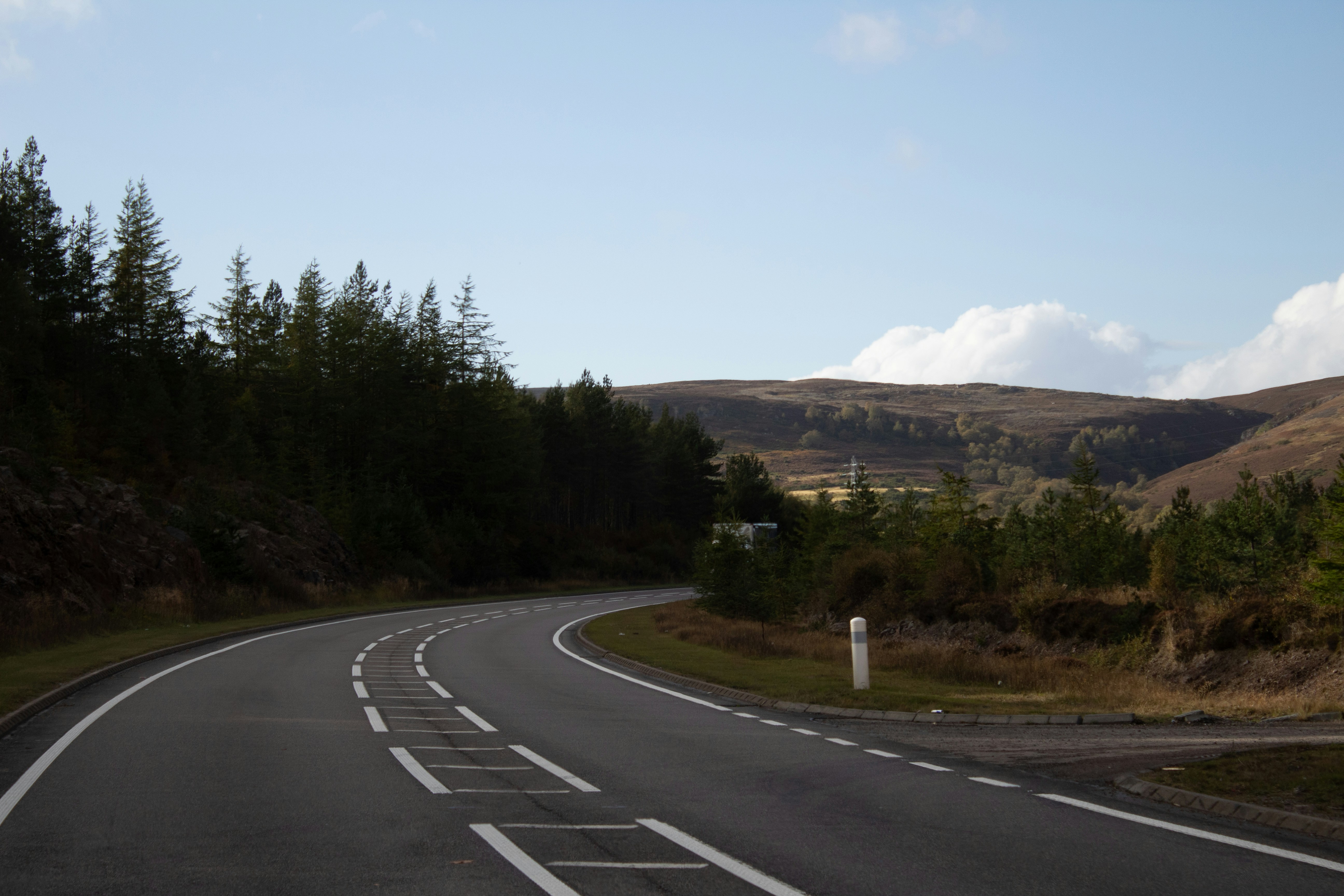 a road with trees on the side