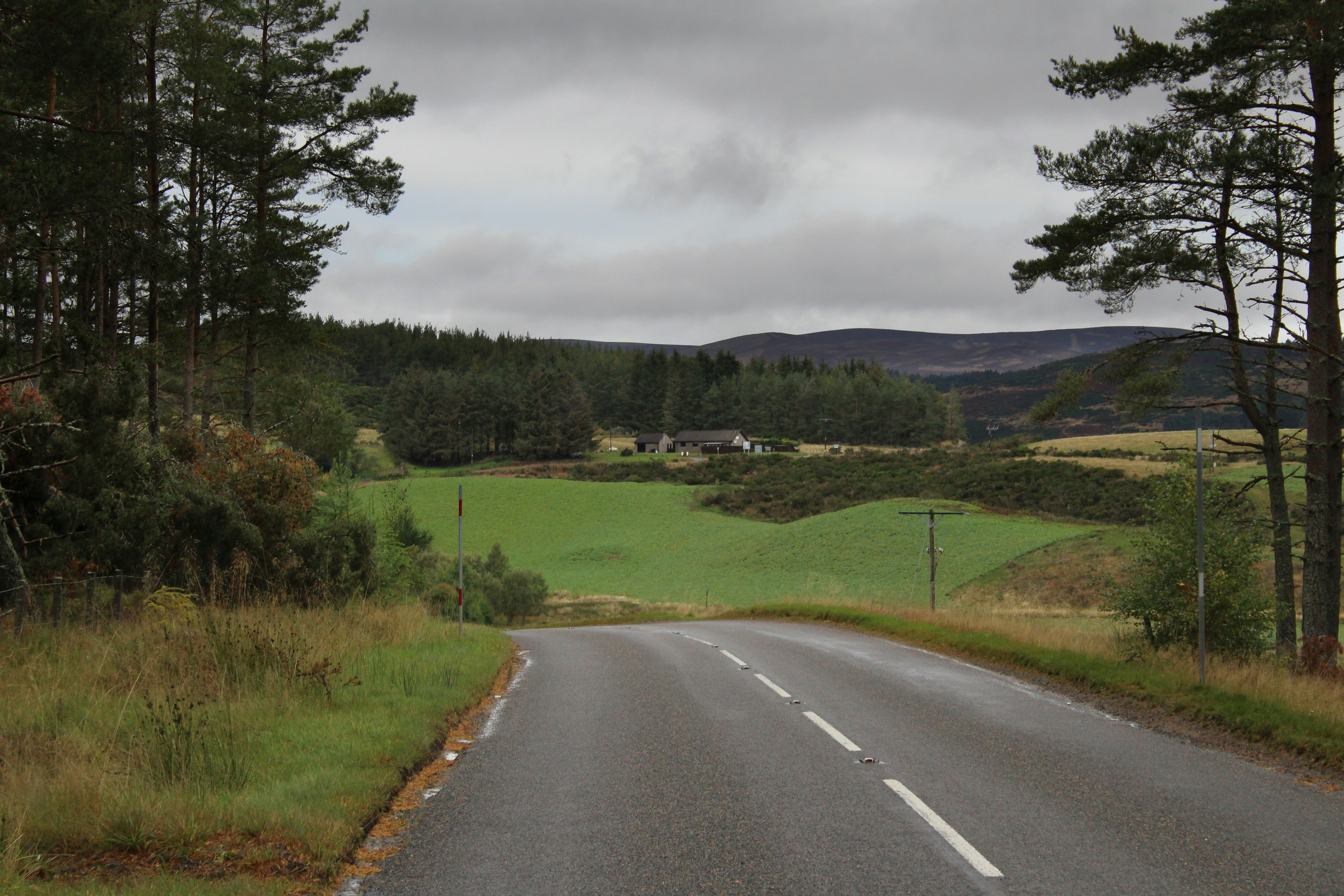 a road with grass and trees on the side