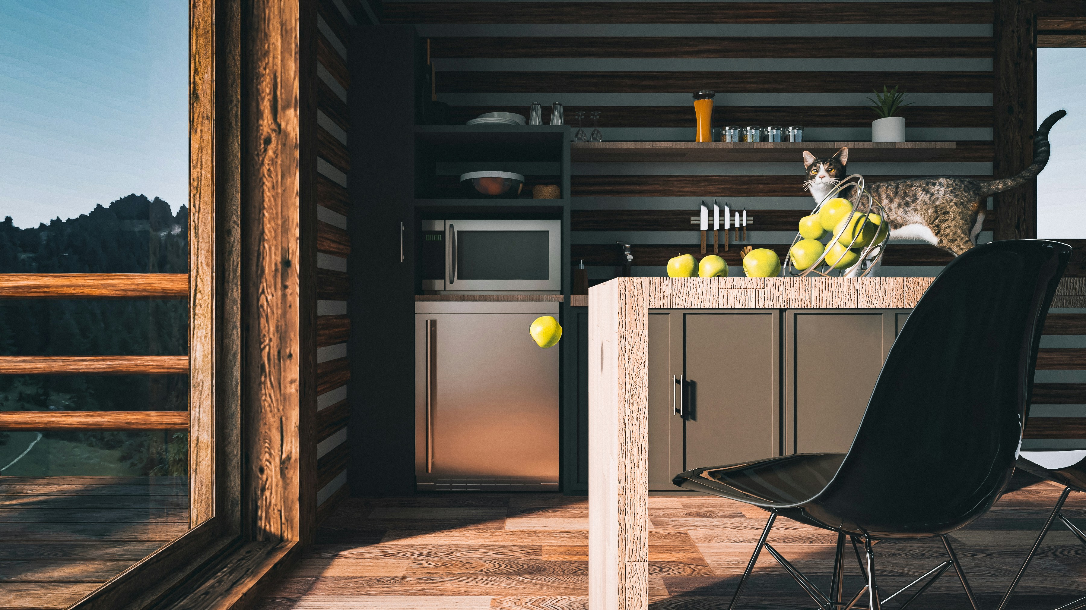 a cat sitting on a chair