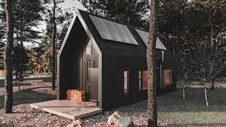 a small cabin in the woods