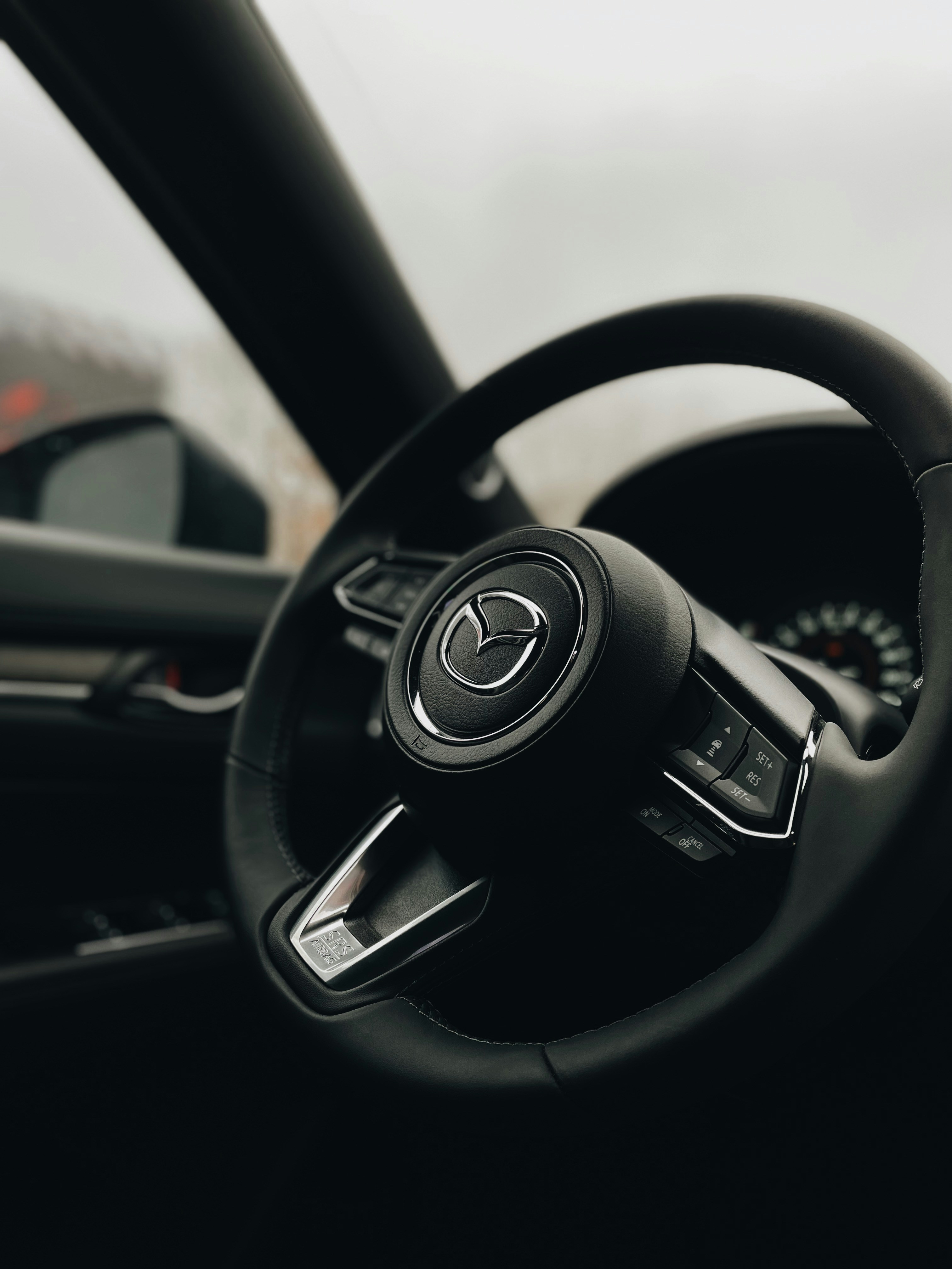 Photo by krykhitka_photo