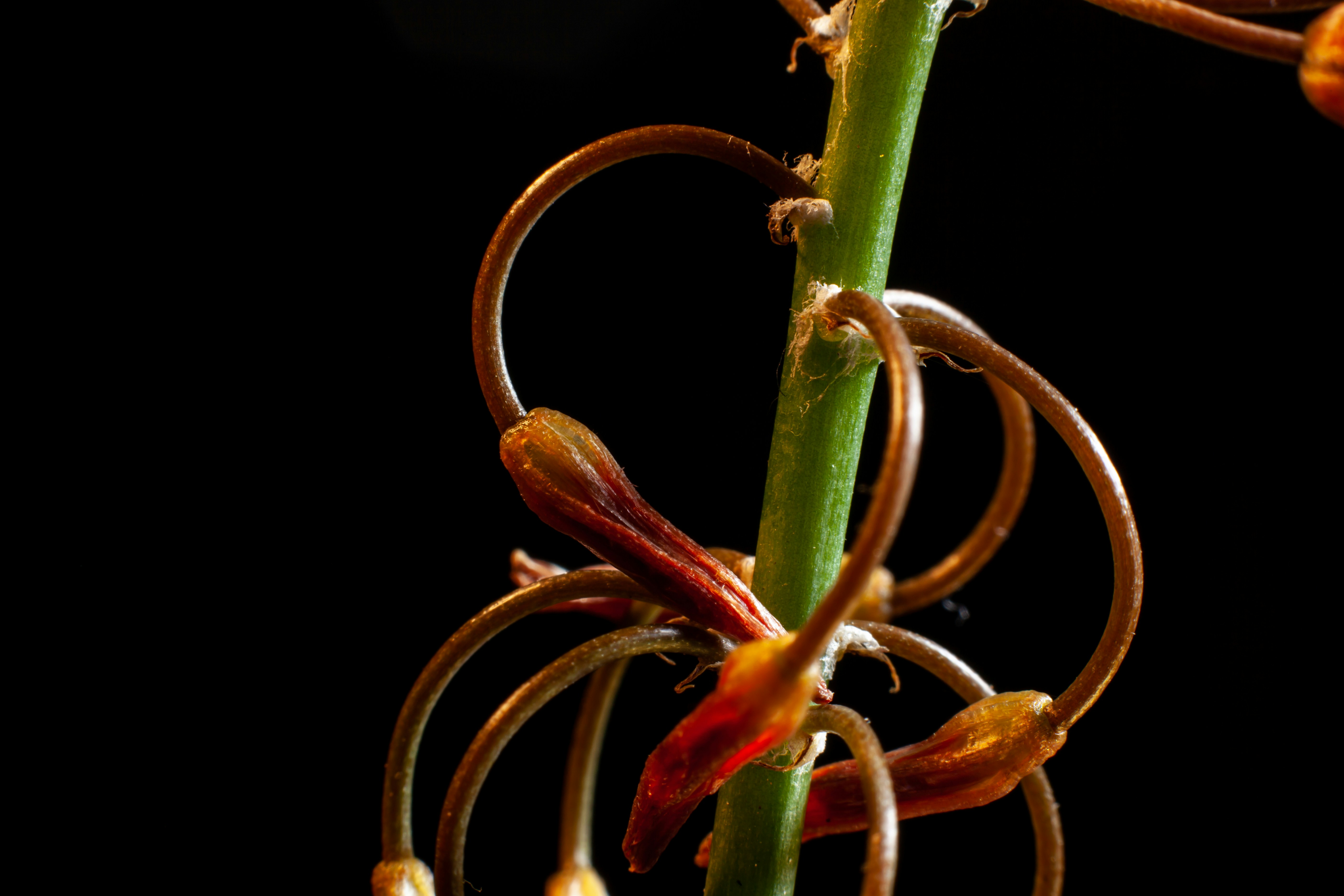 소형 아파트 투자 초보자가 피해야 할 실수는