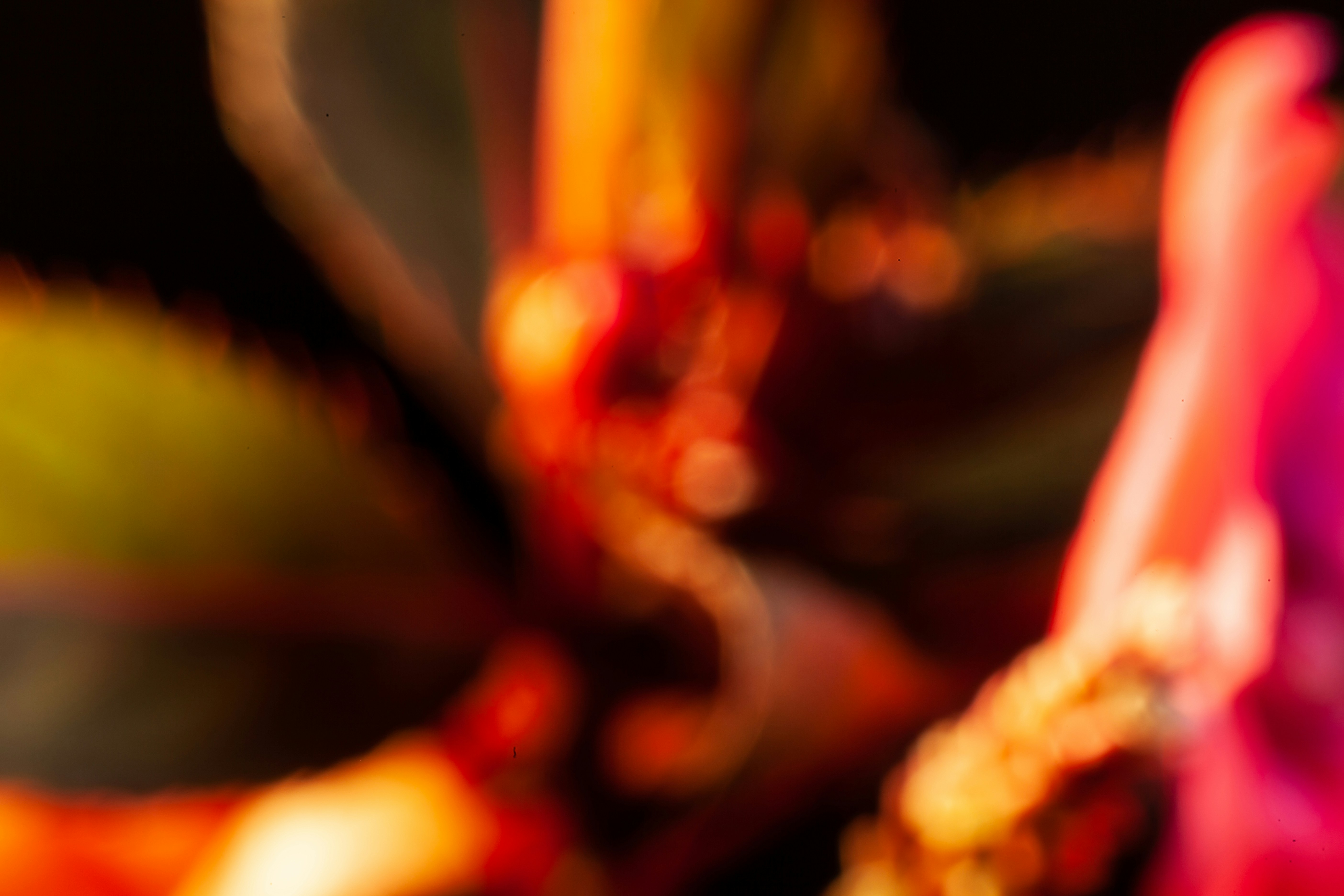 Bugün öğrendim ki: Korku Dükkanı başlangıçta...