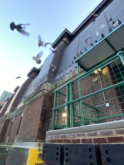 Professional team photo of pigeon netting experts smiling confidently in front of a modern building.