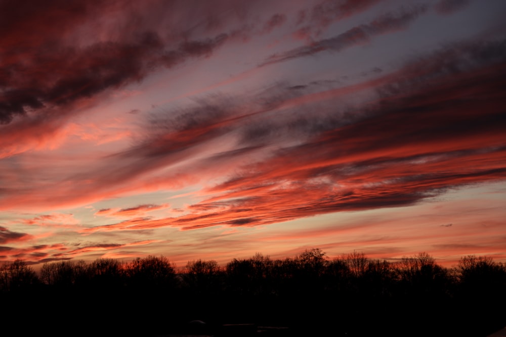 a sunset over trees