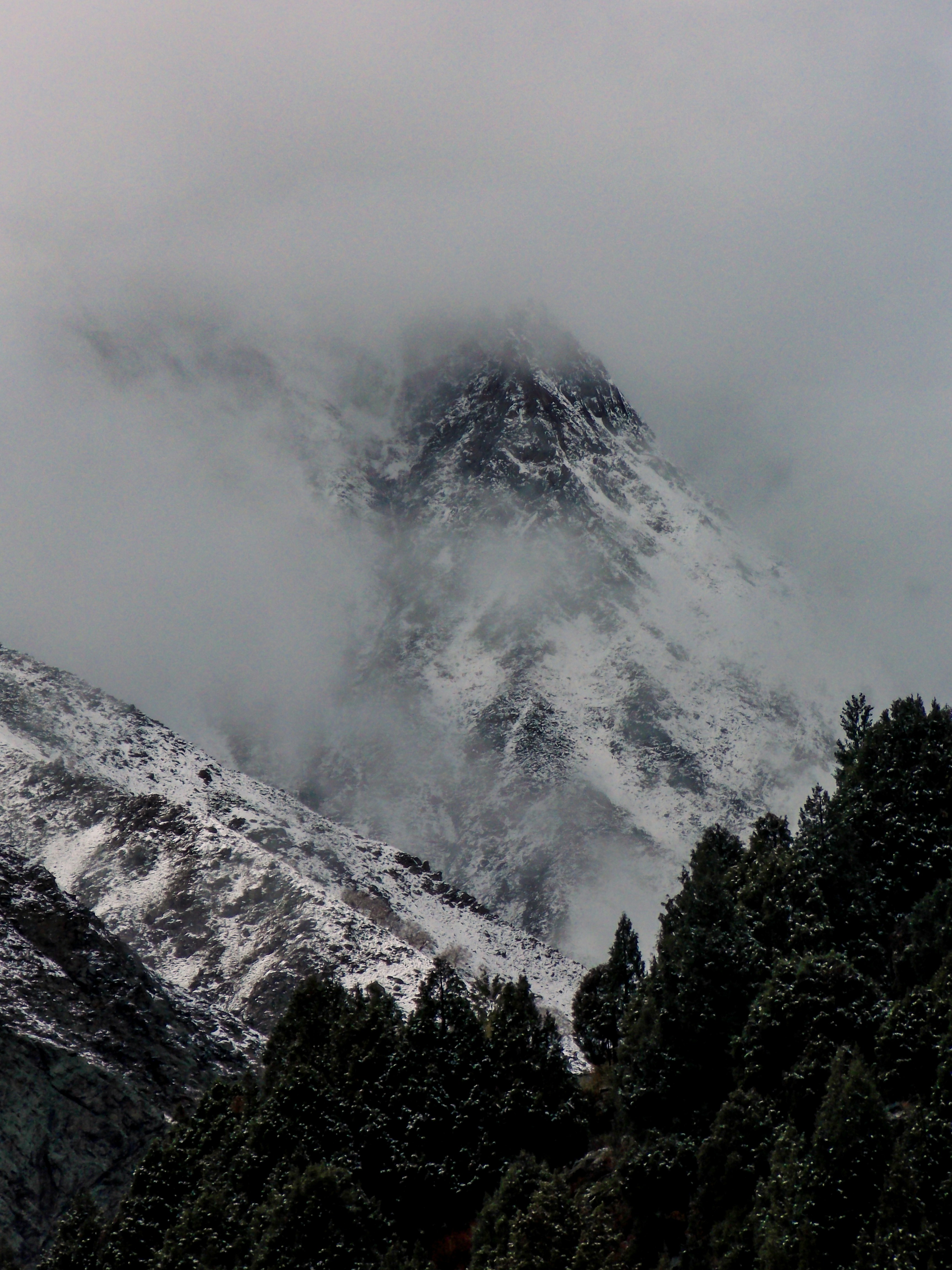 Photo by ____aka_dev0