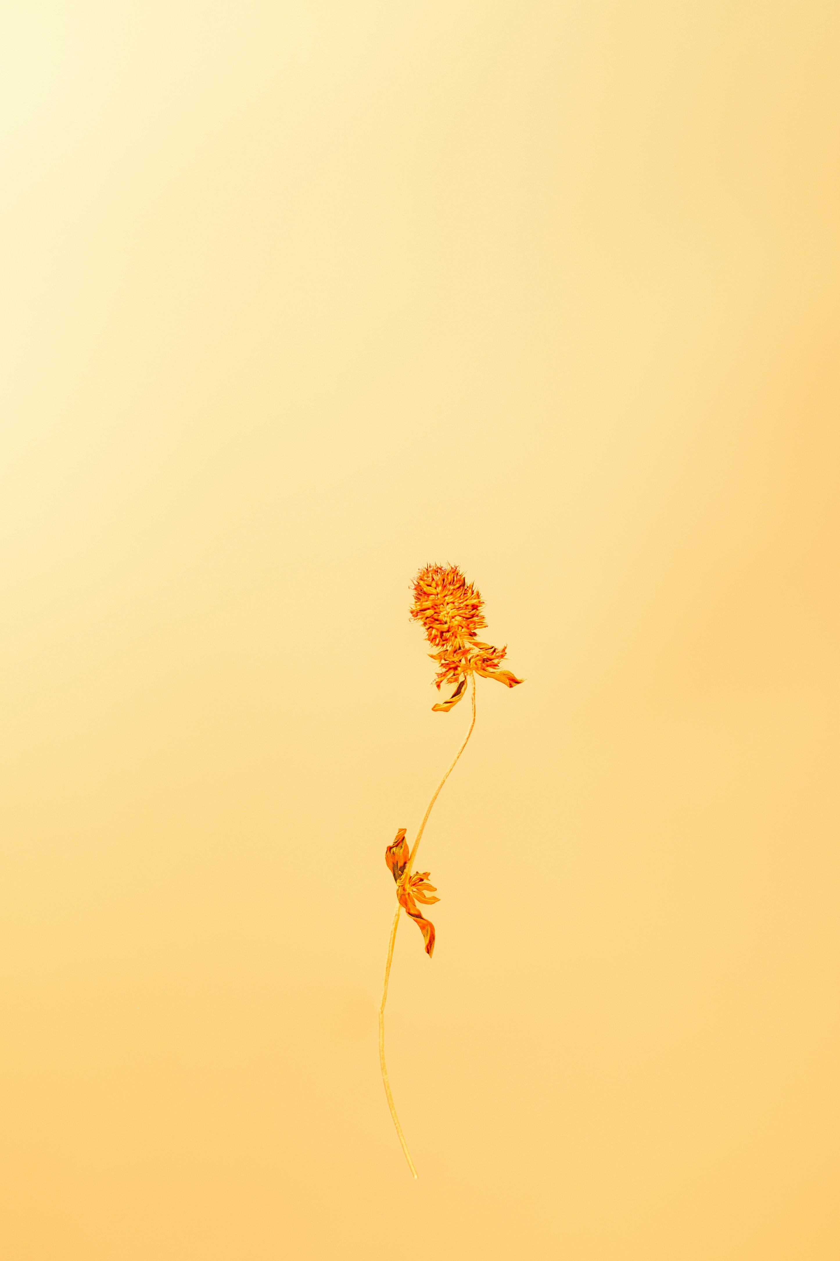 Photo by marekpiwnicki