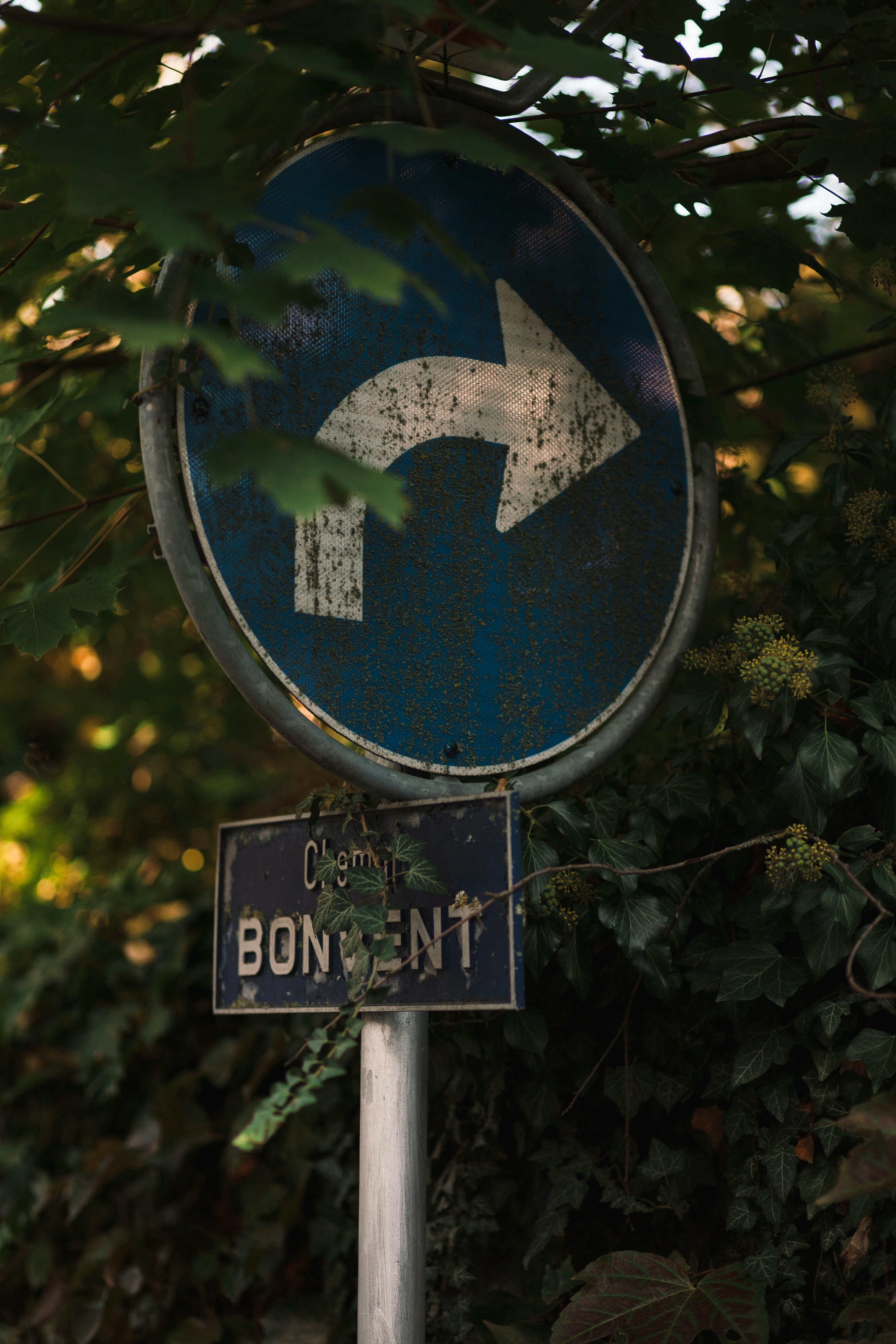 Field Review: Best Endpoint Protection Suites for 2026 — Detection, EDR, and Performance