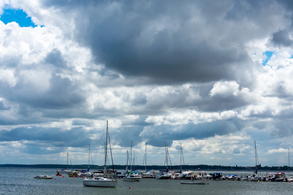 a group of boats in a harbor