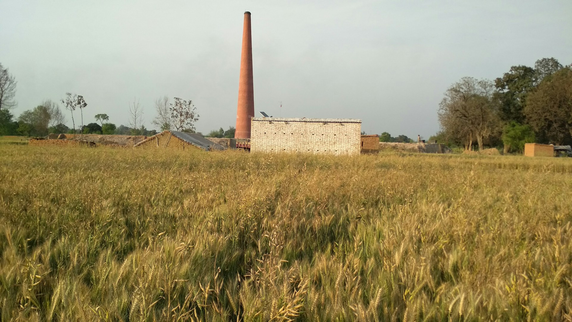 woman wearing yellow long-sleeved dress under white clouds and blue sky during daytime