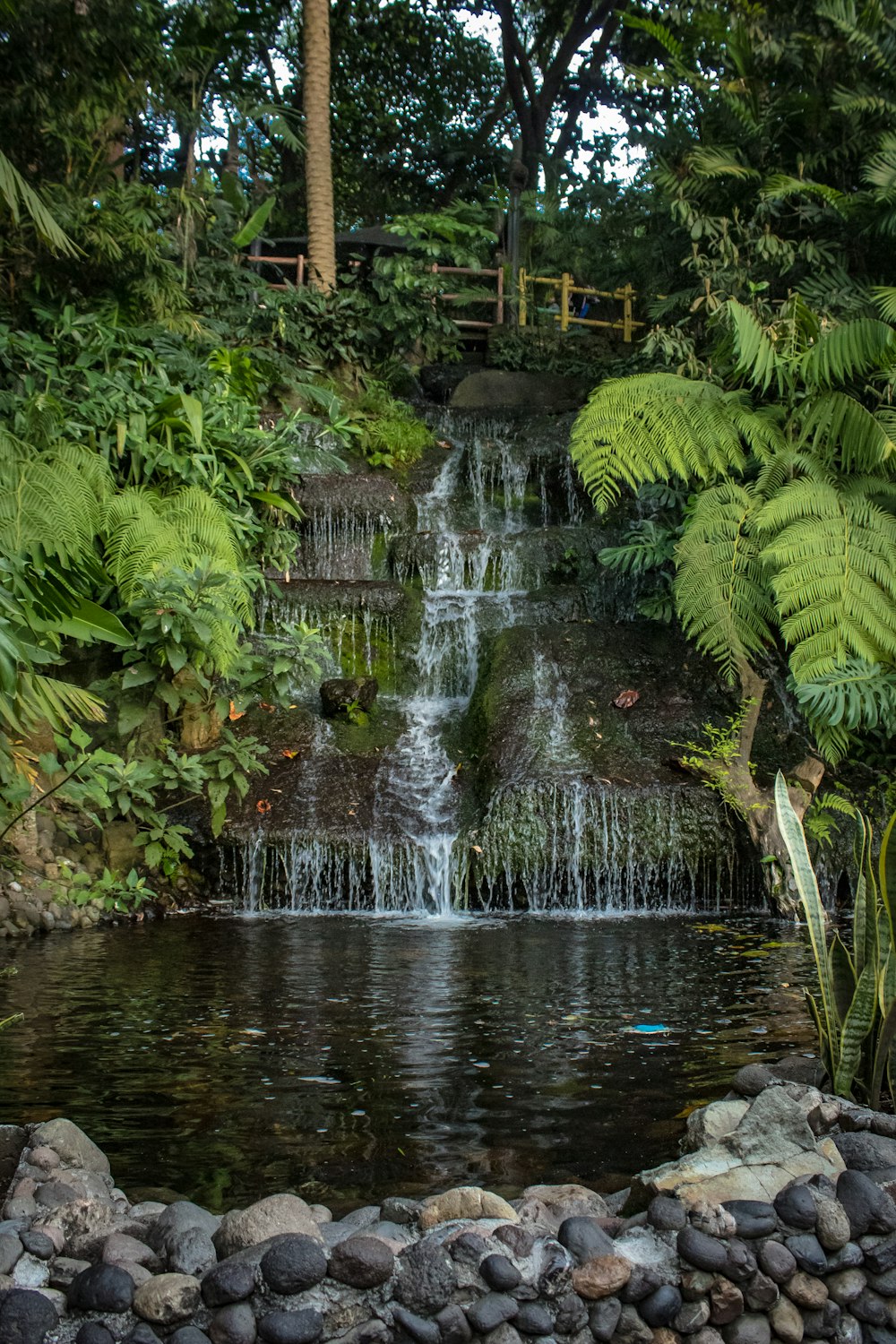 a waterfall in a garden