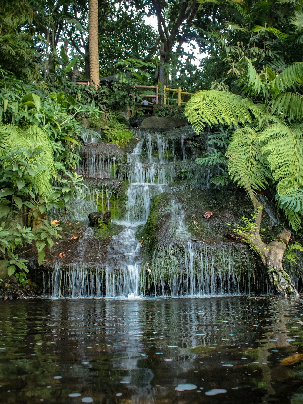 a waterfall in a garden