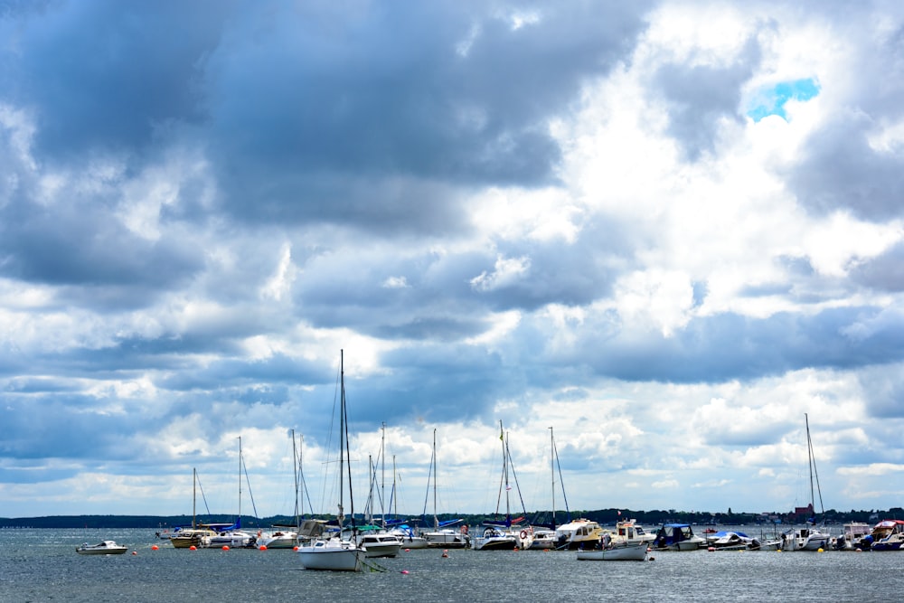 a group of boats sit in a harbor