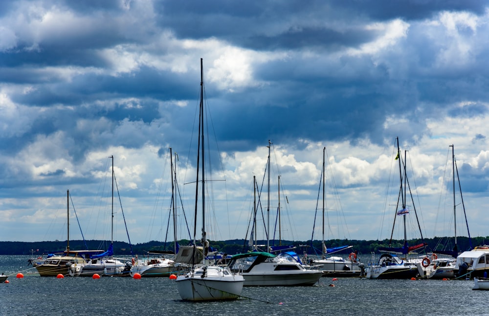 a group of boats sit in a harbor