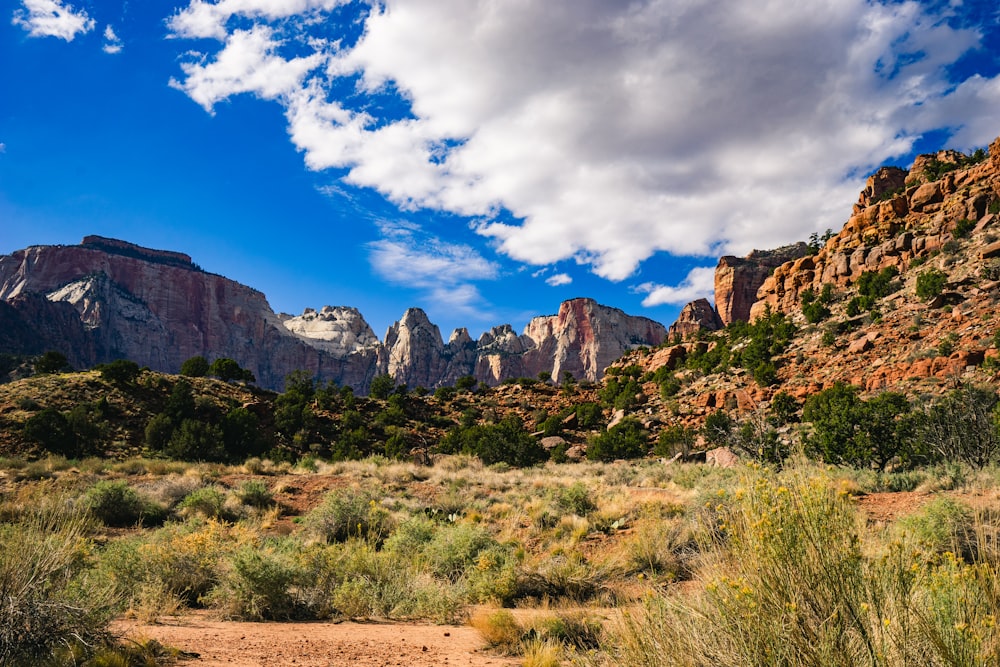 Un paisaje con montañas y árboles