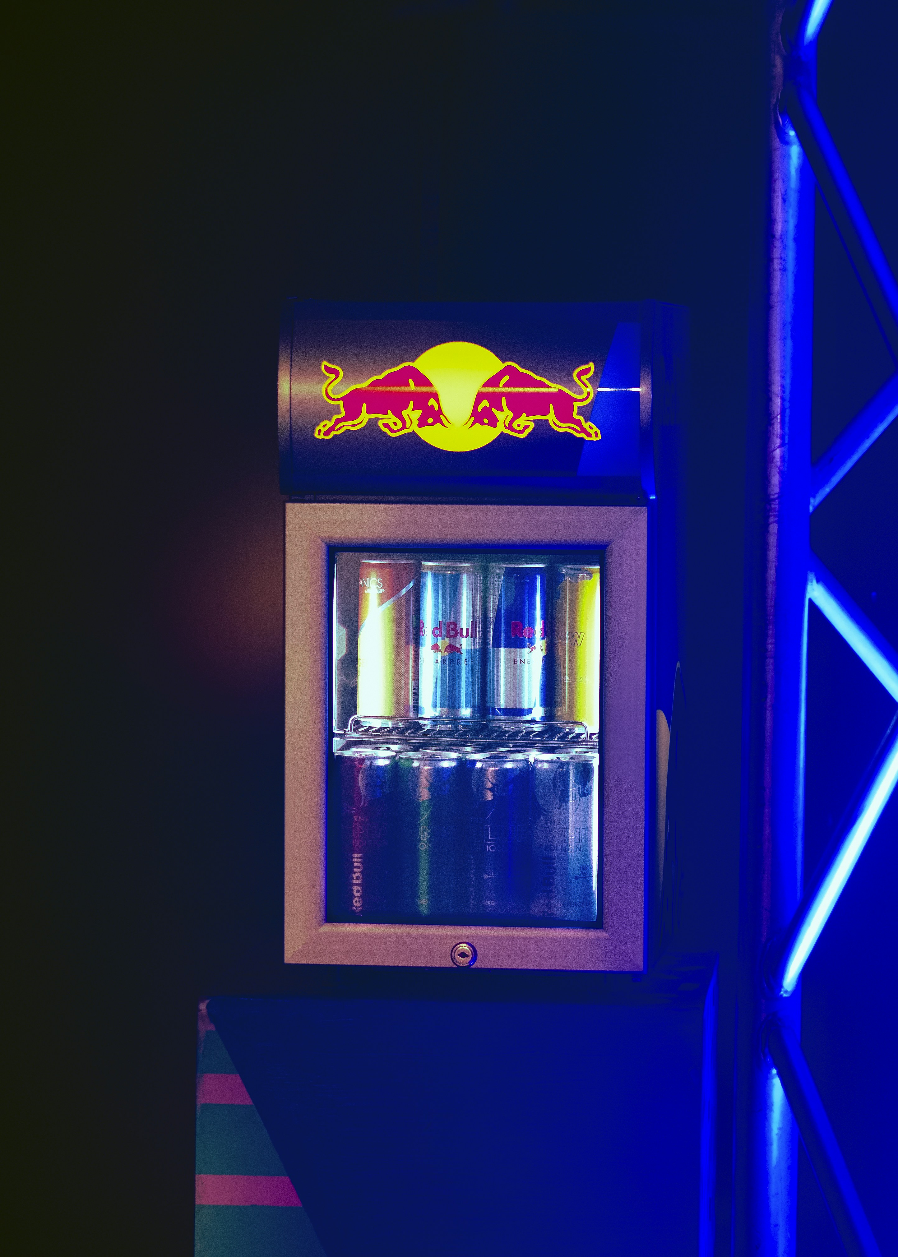 The Ultimate Guide to Mini Fridges and Portable Coolers