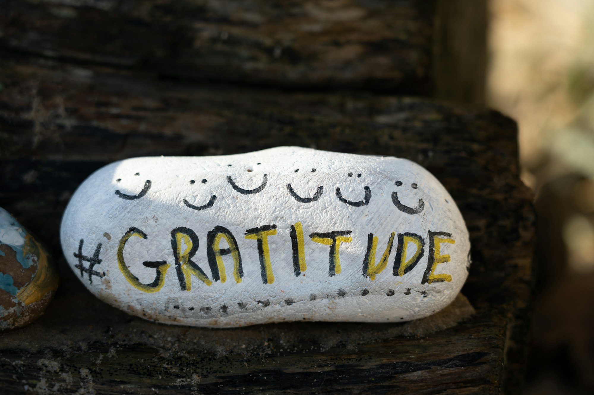 A painted stone with the word gratitude.