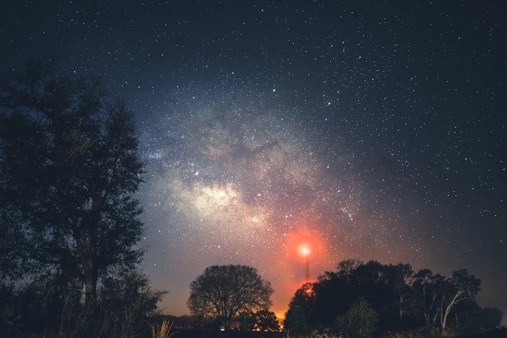 a night sky with stars and trees