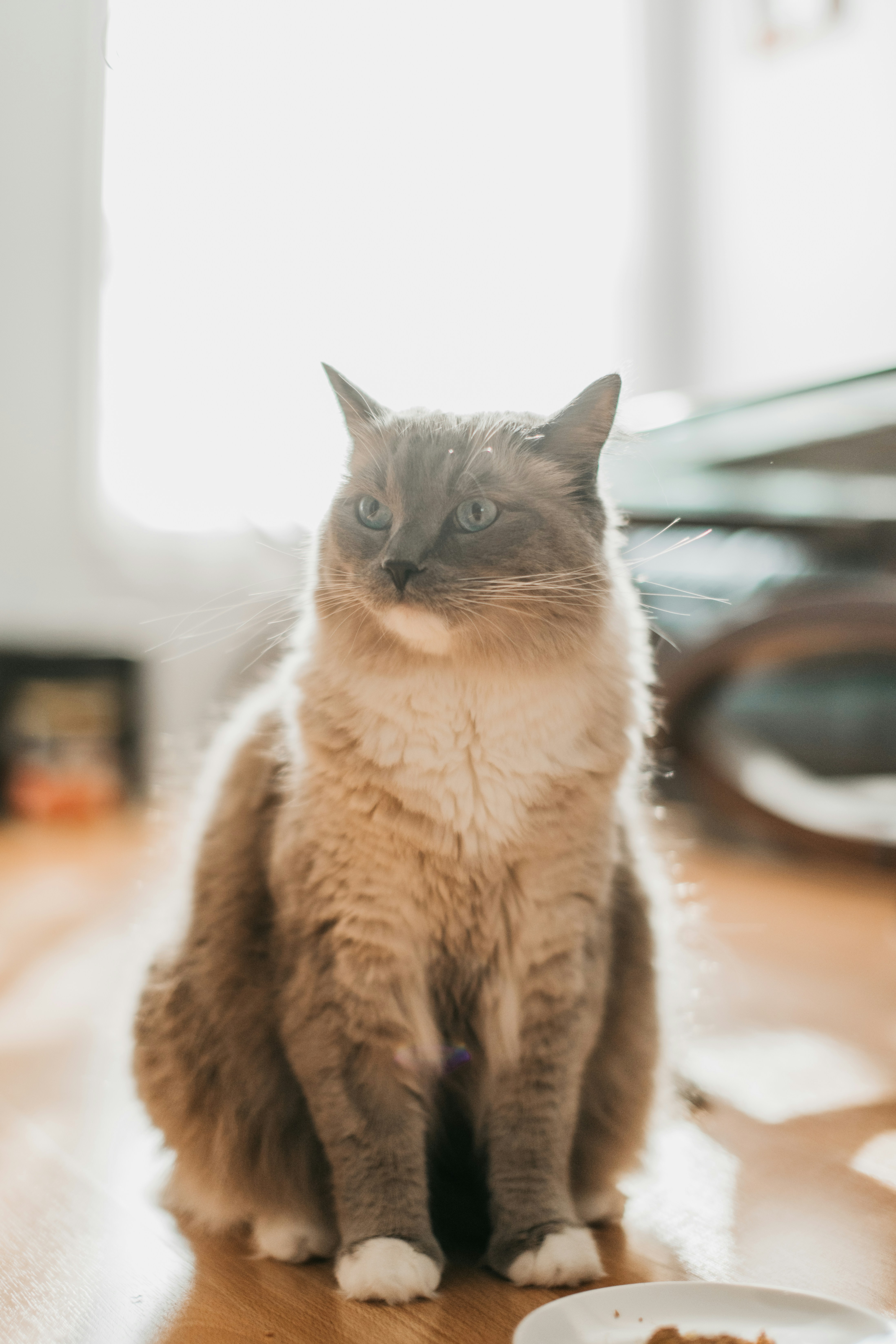 Photo by reddfrancisco