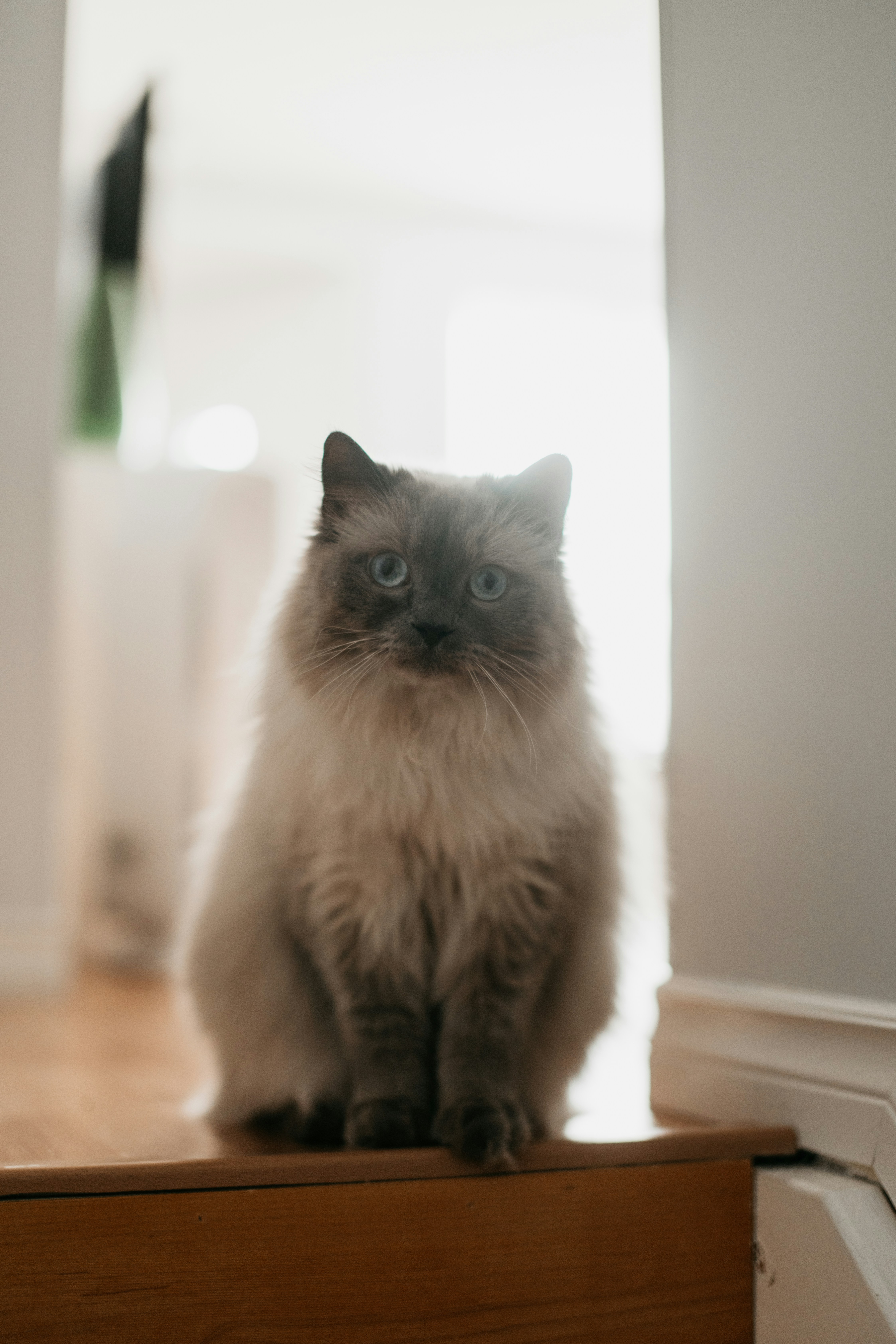 Photo by reddfrancisco