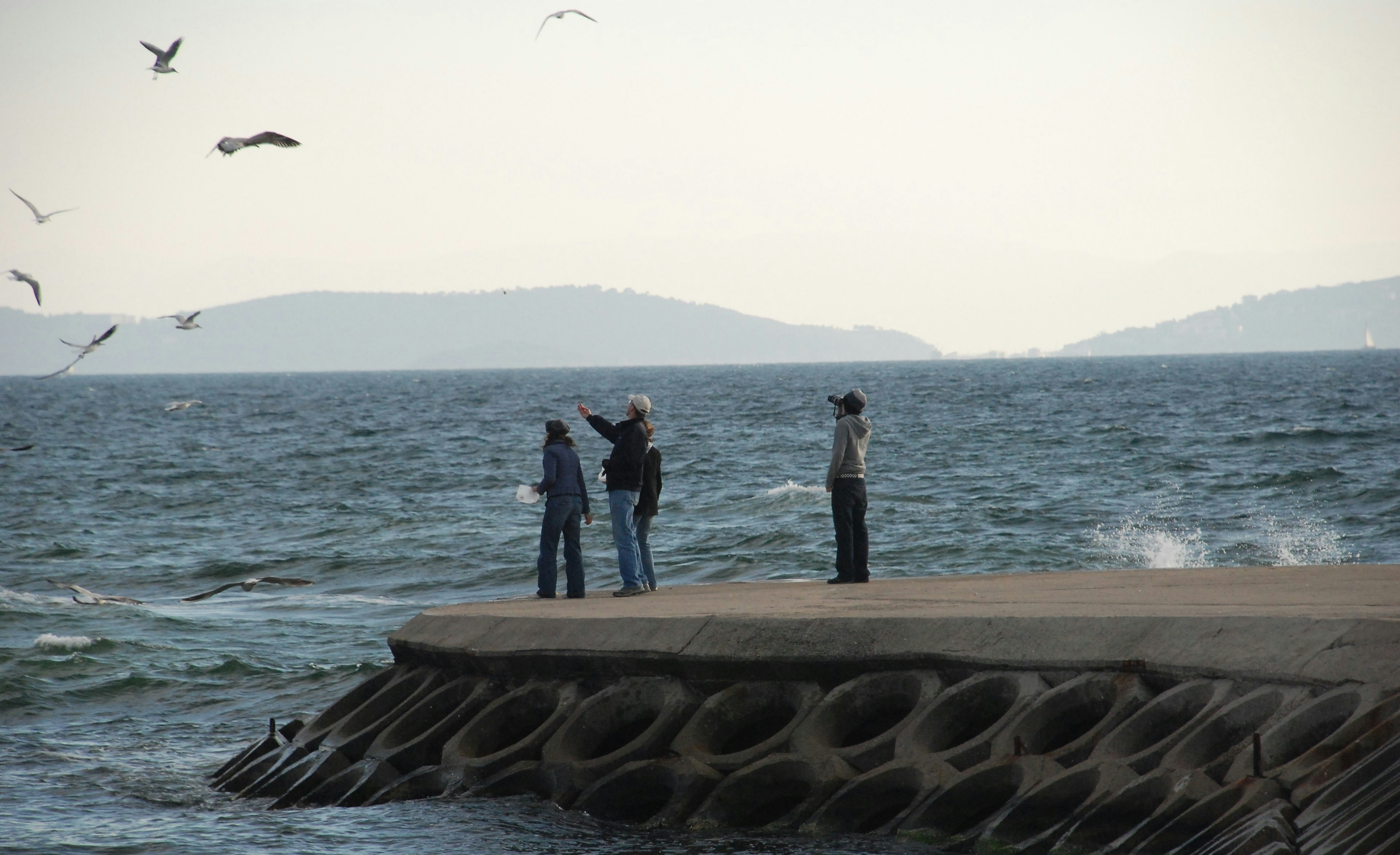 a group of people standing on a dock by the water