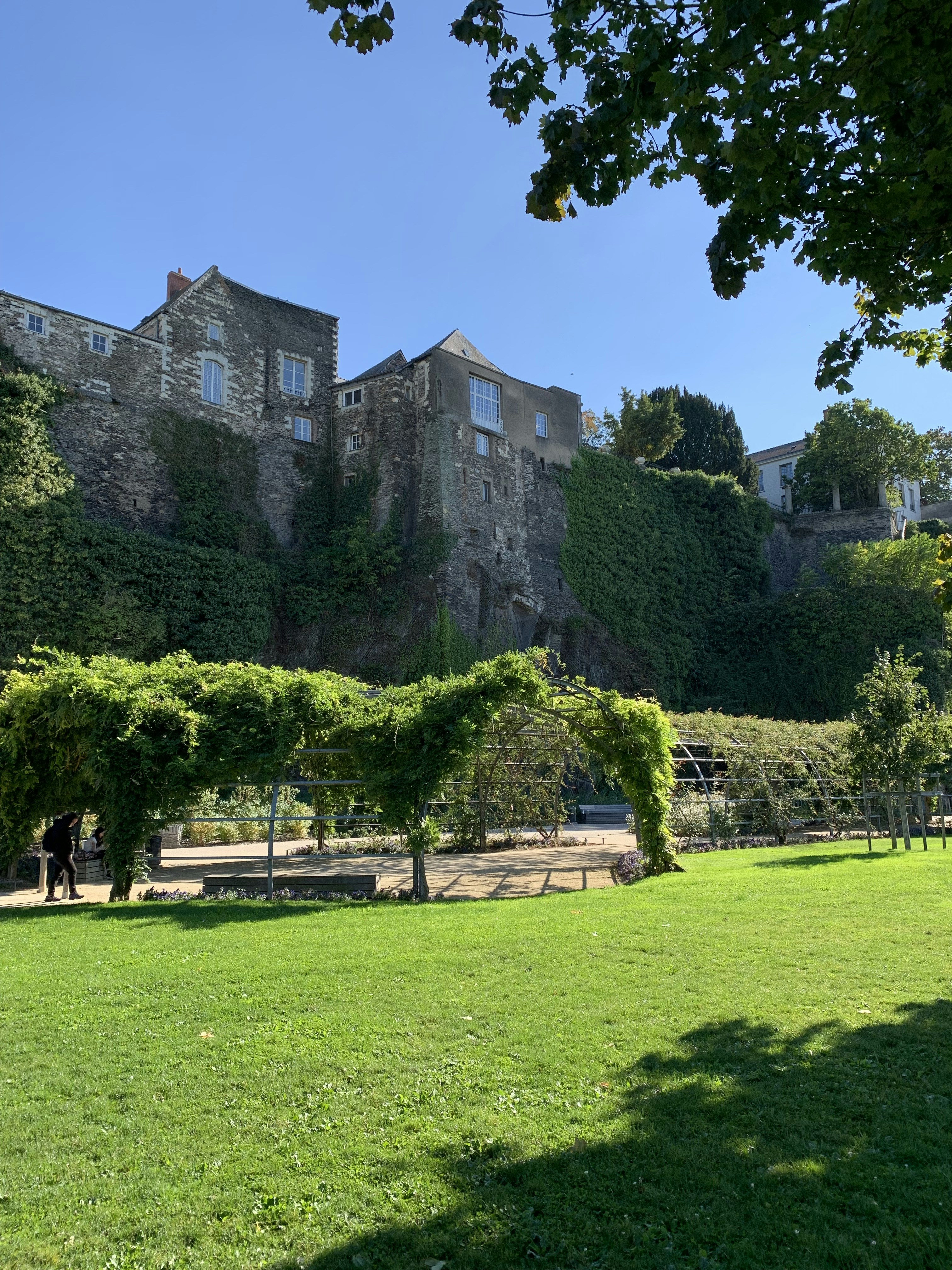 a large building with trees in front of it
