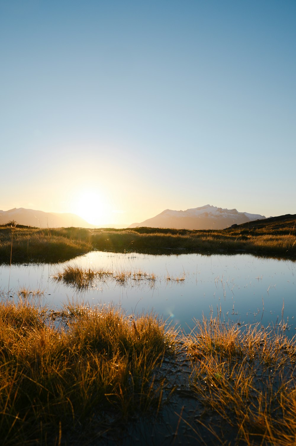 a body of water with grass and mountains in the background