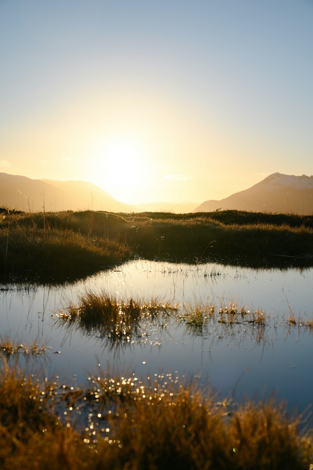 a body of water with plants and mountains in the background