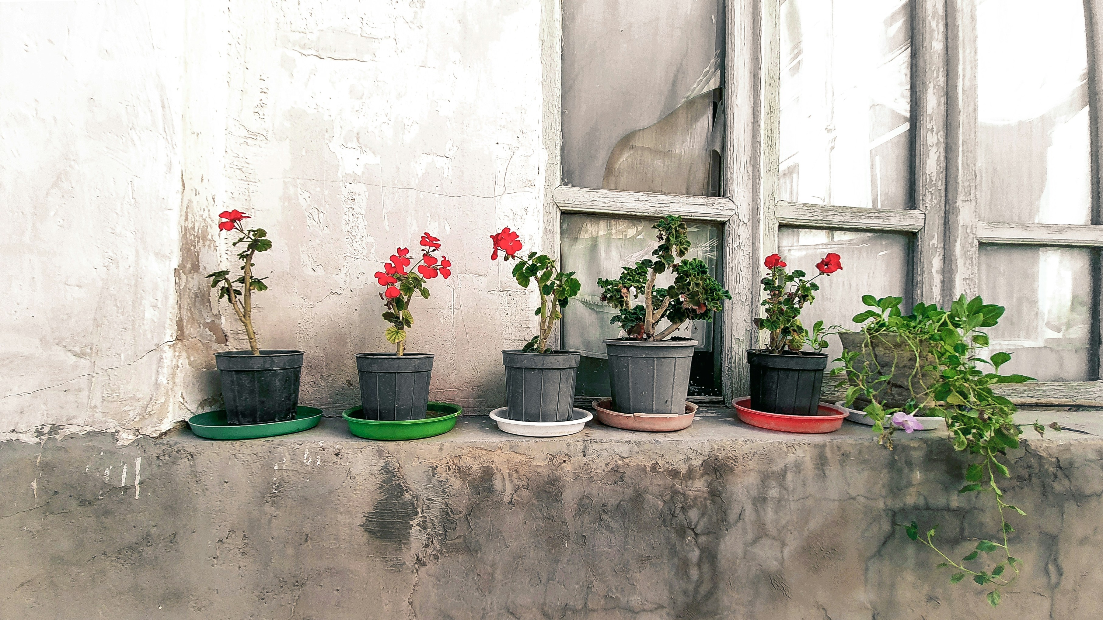 Photo by amir_photos