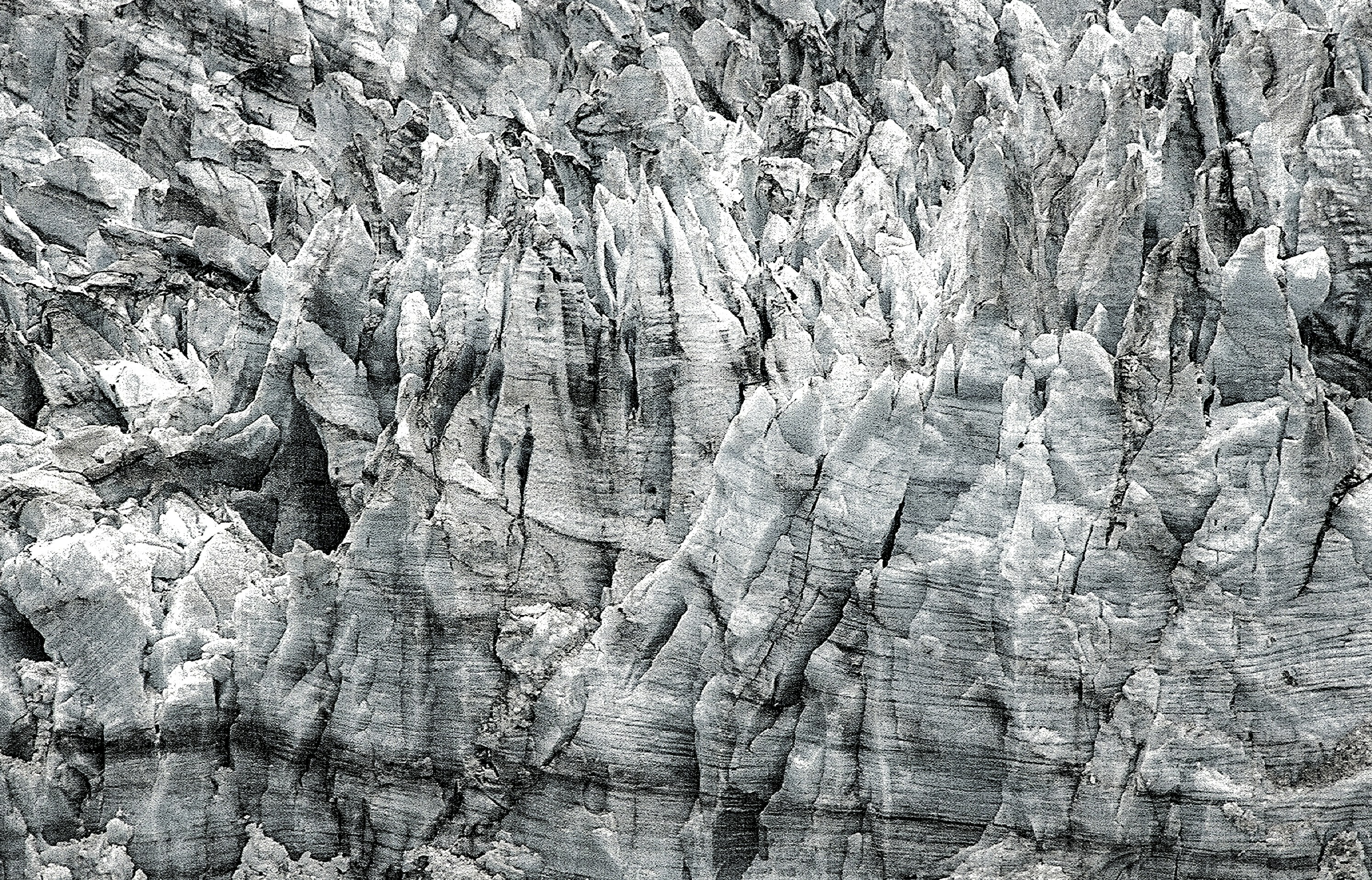 Photo by sterlinglanier