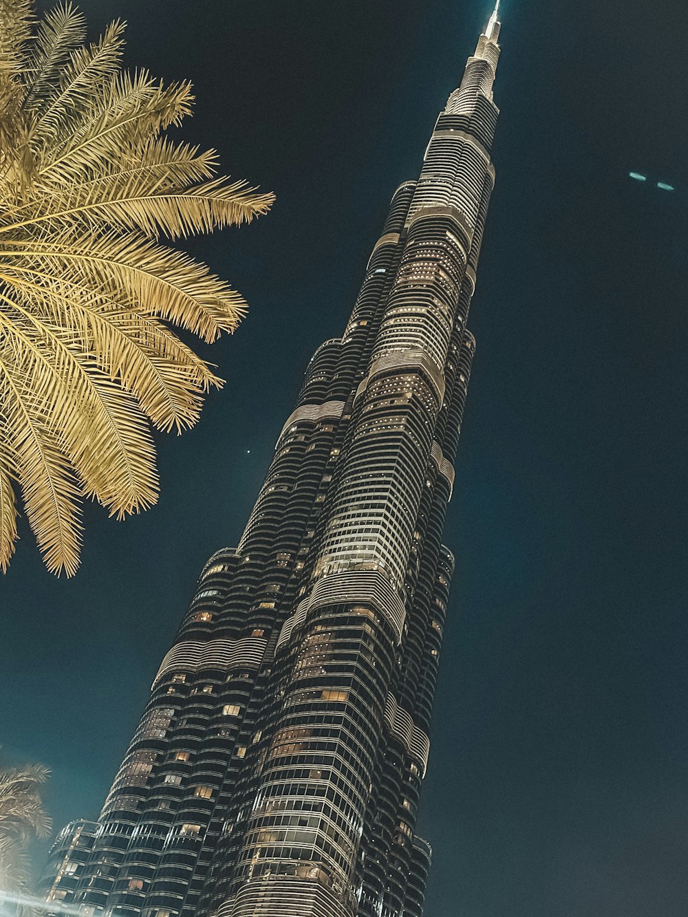 a tall tower with a tree in the foreground