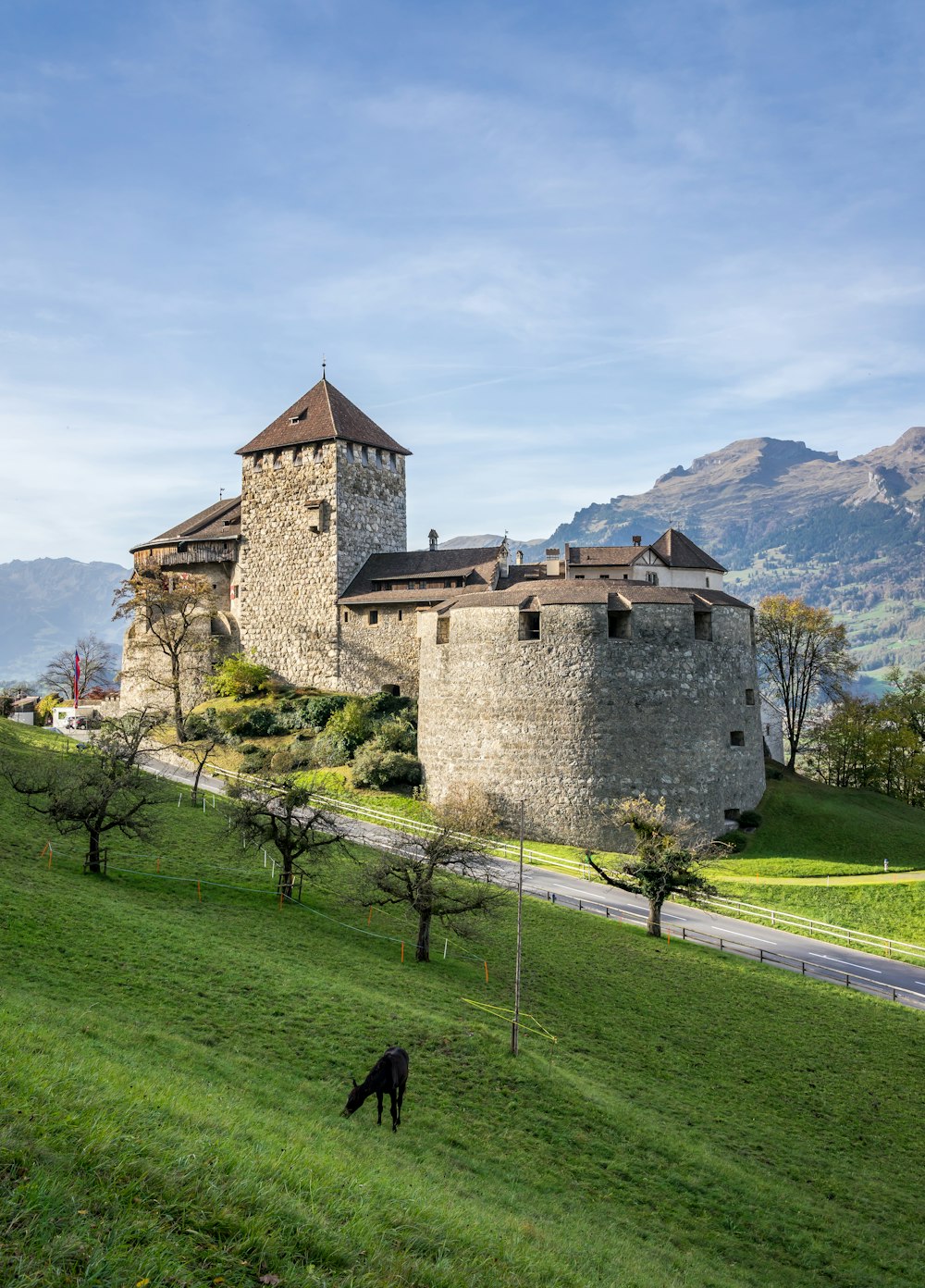 Ein Hund geht auf einem Weg vor einem Schloss