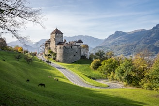 a castle on a hill