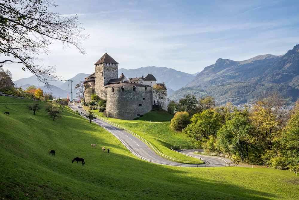 a castle on a hill