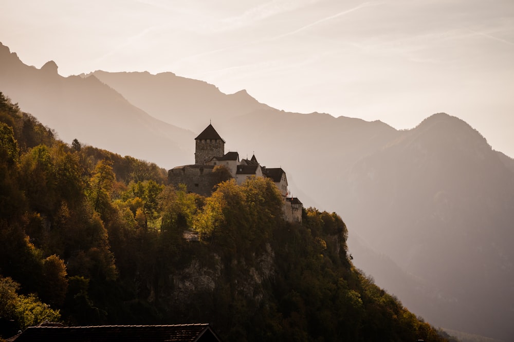 a castle on a hill