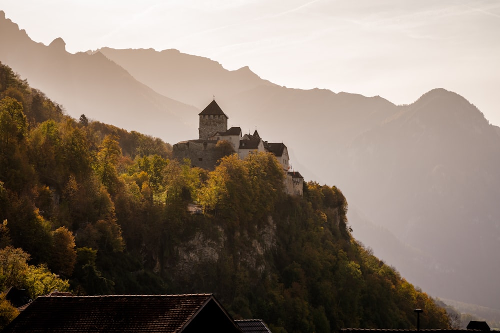 a castle on a hill