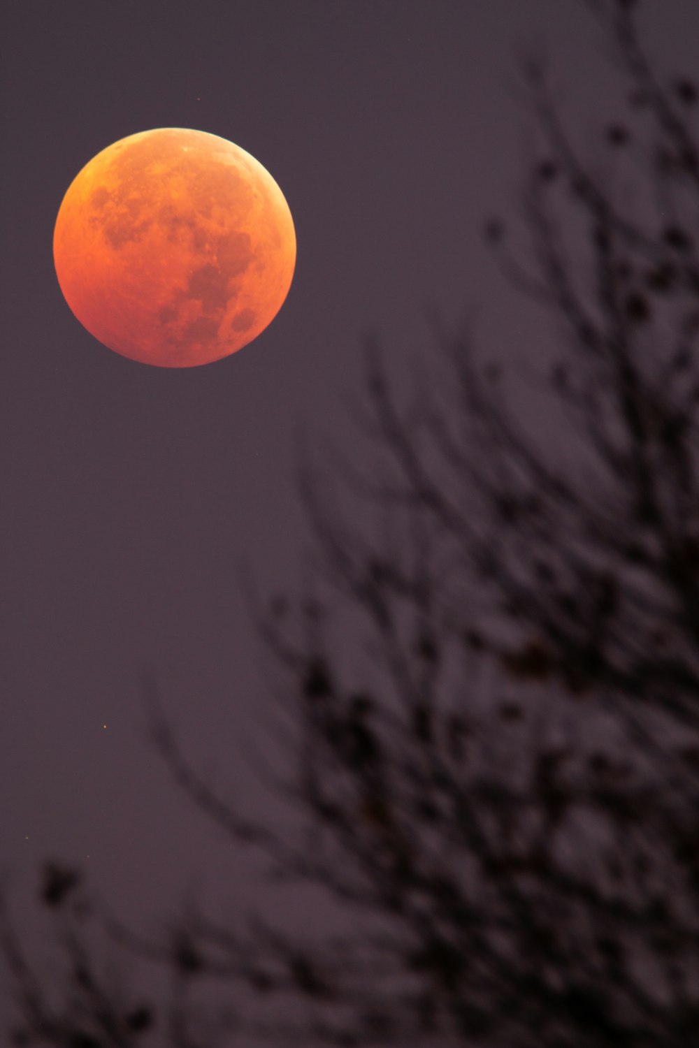 a red moon in the sky