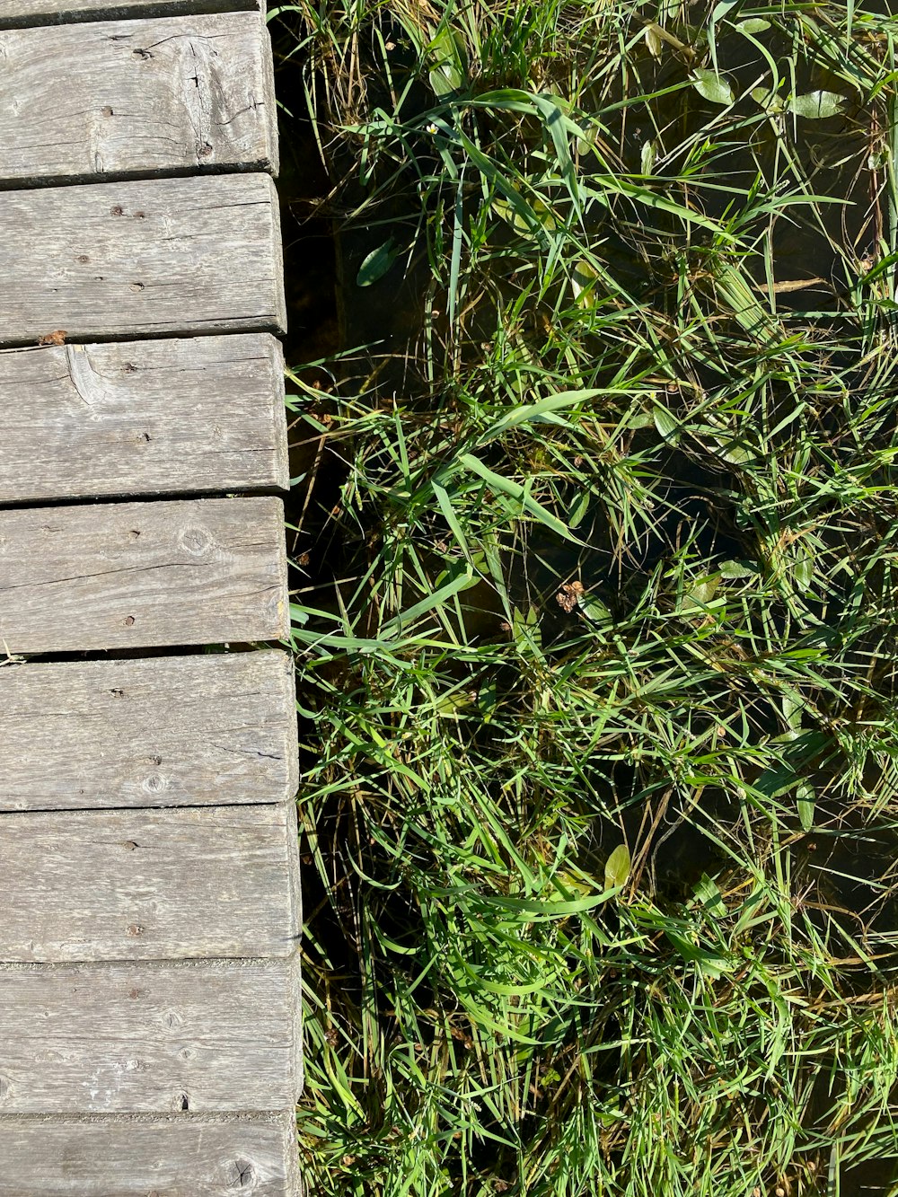 a wooden fence next to a wood wall