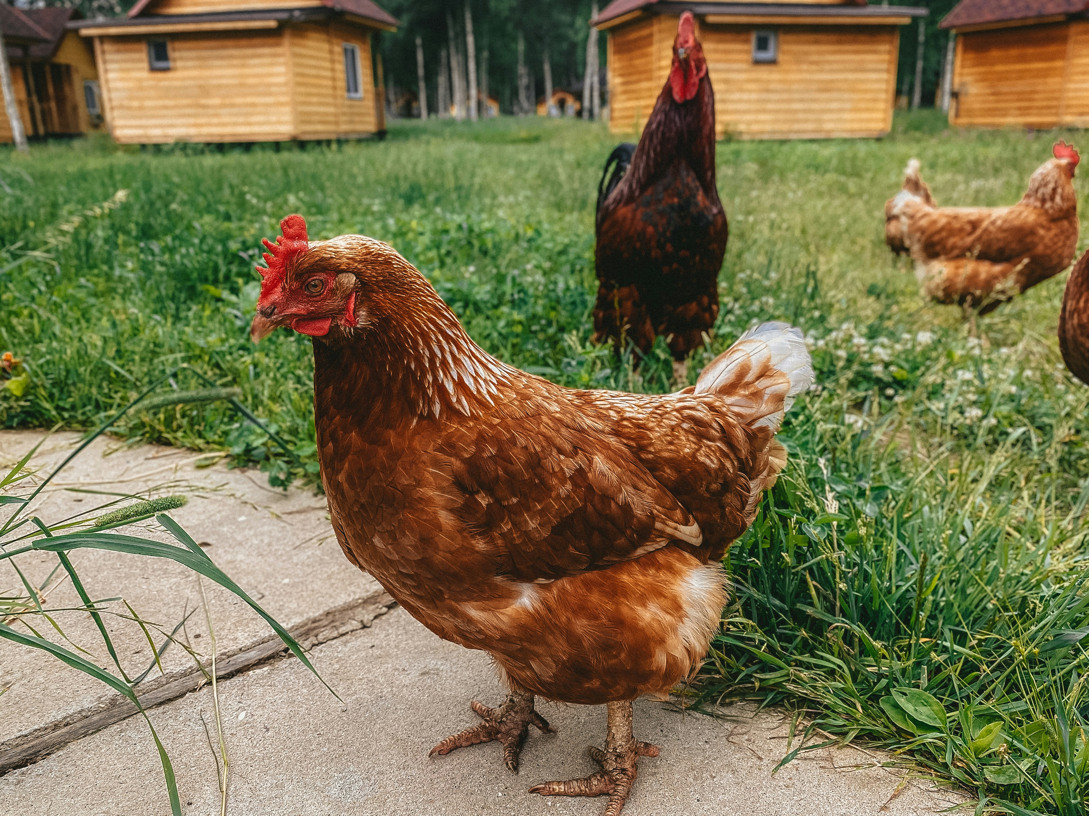 Photo by polinamalilo