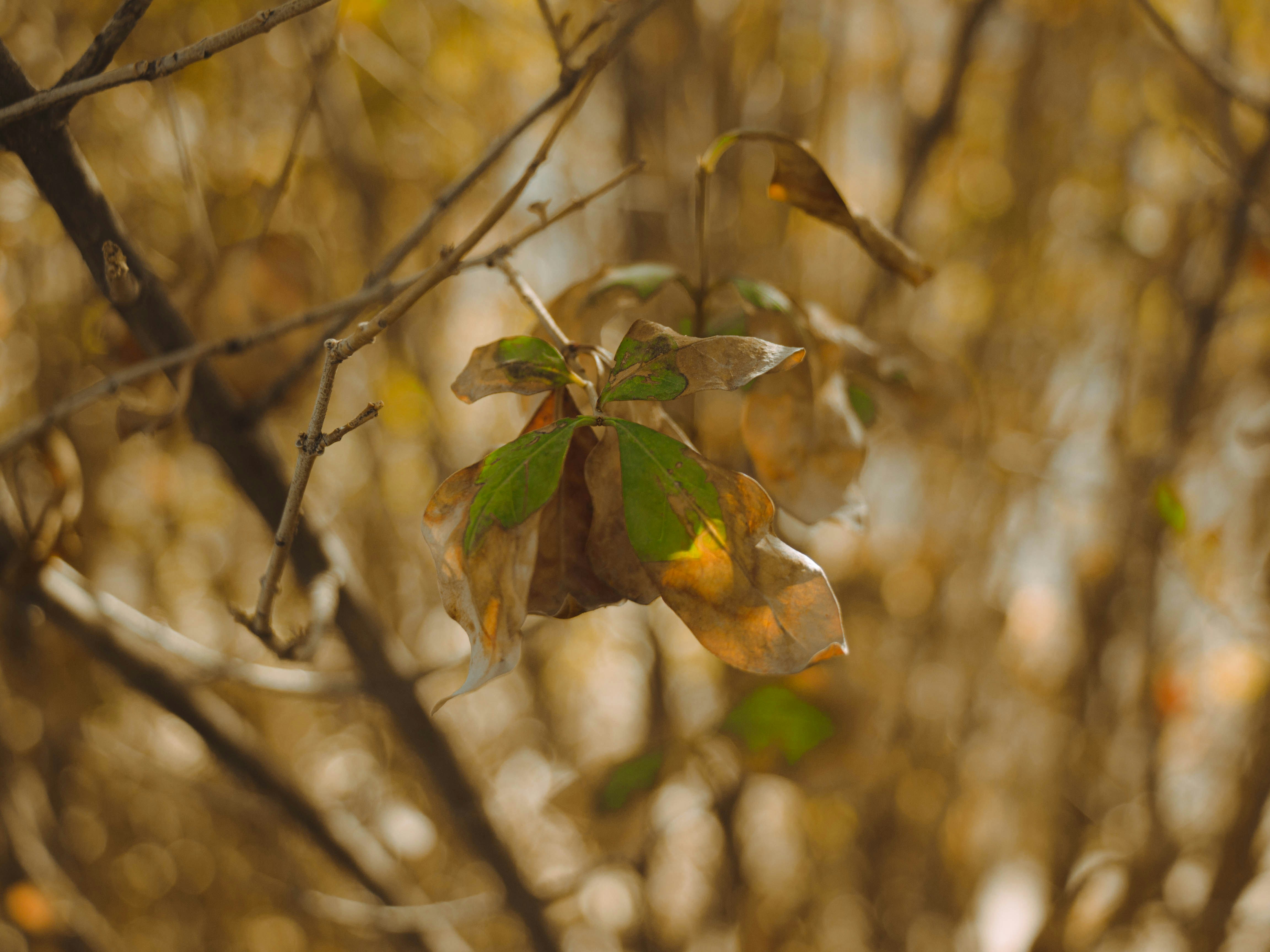 Photo by tomarquize