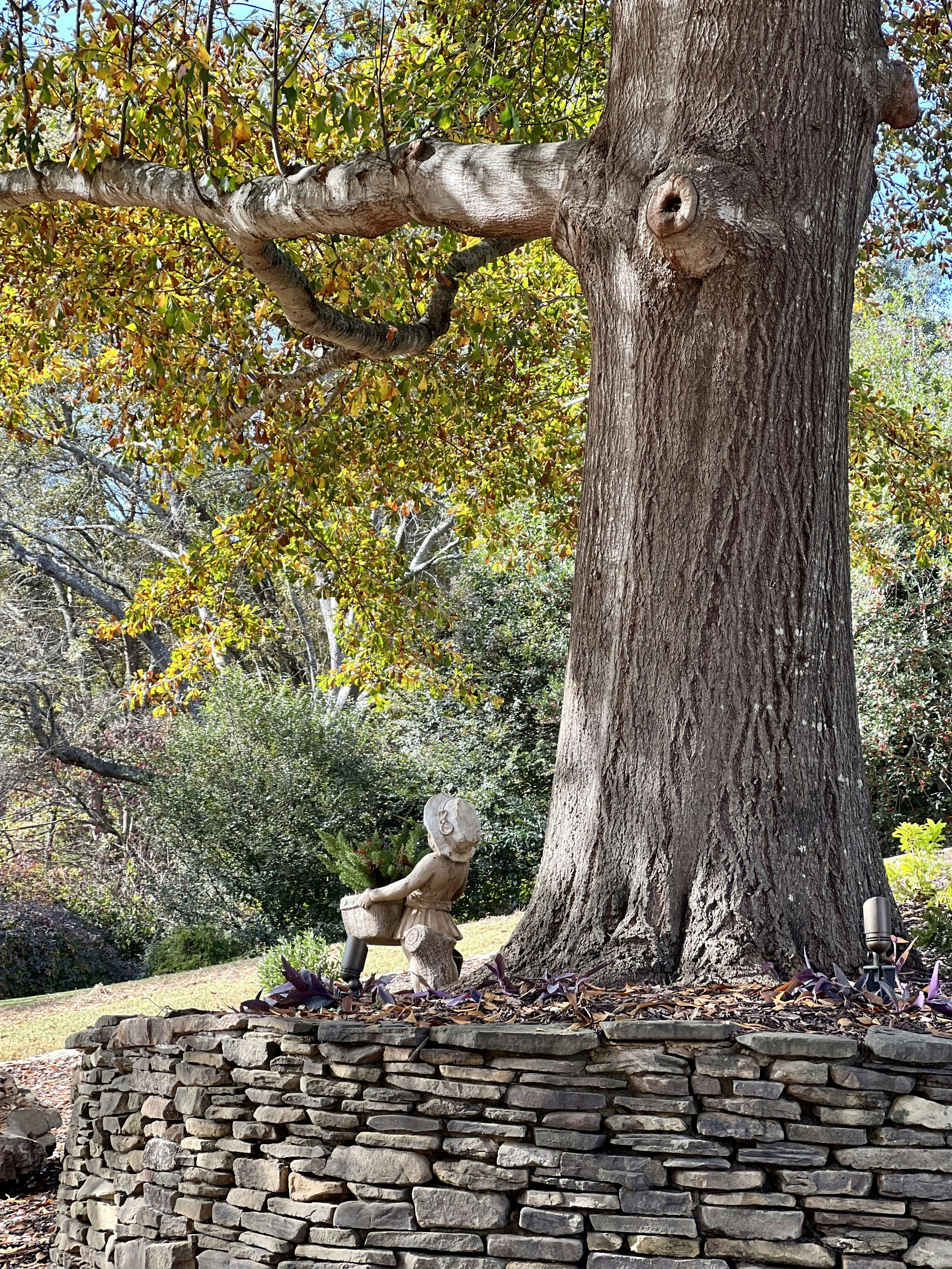 a statue of a cat under a tree