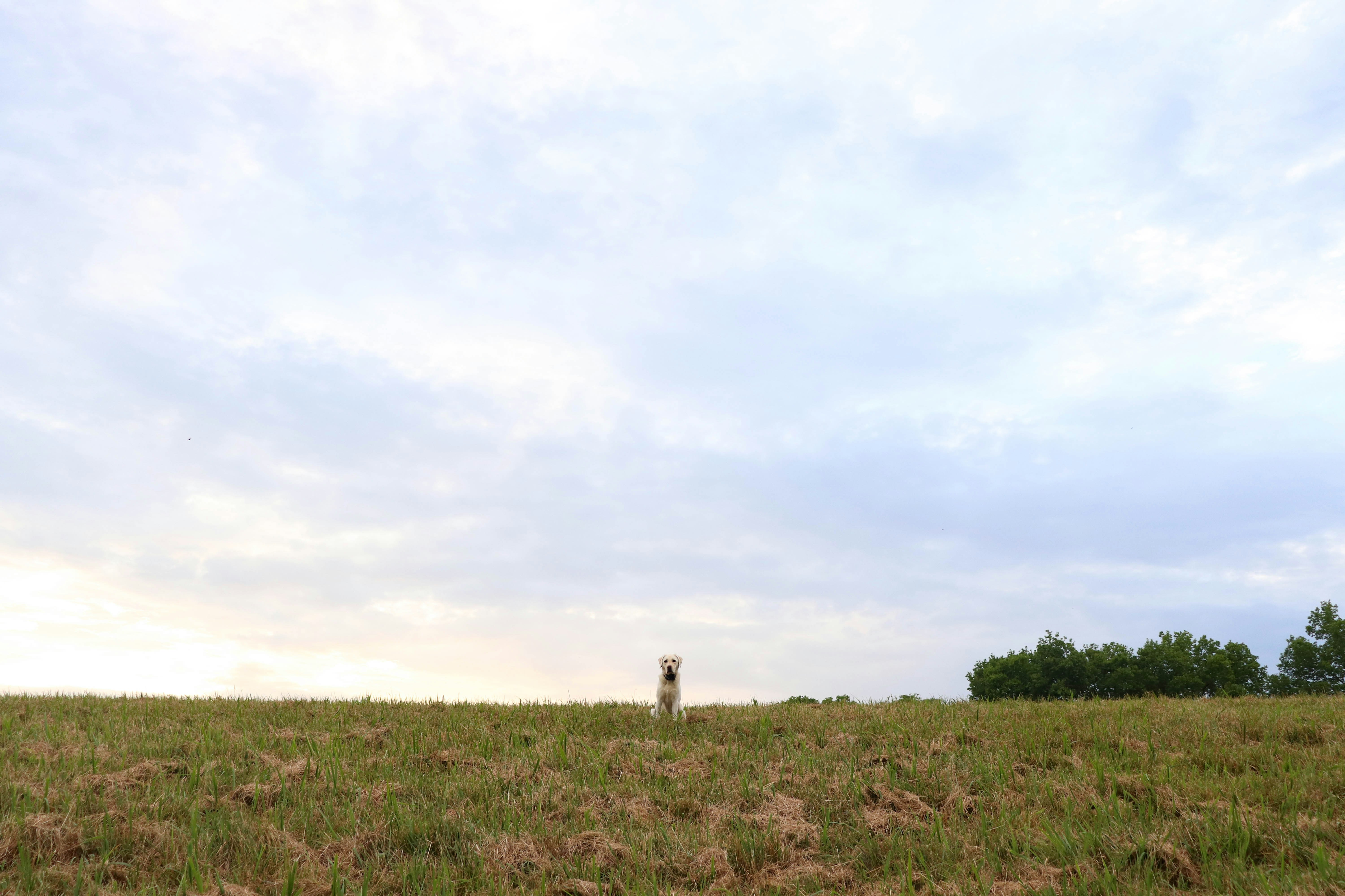 Photo by lroberts067