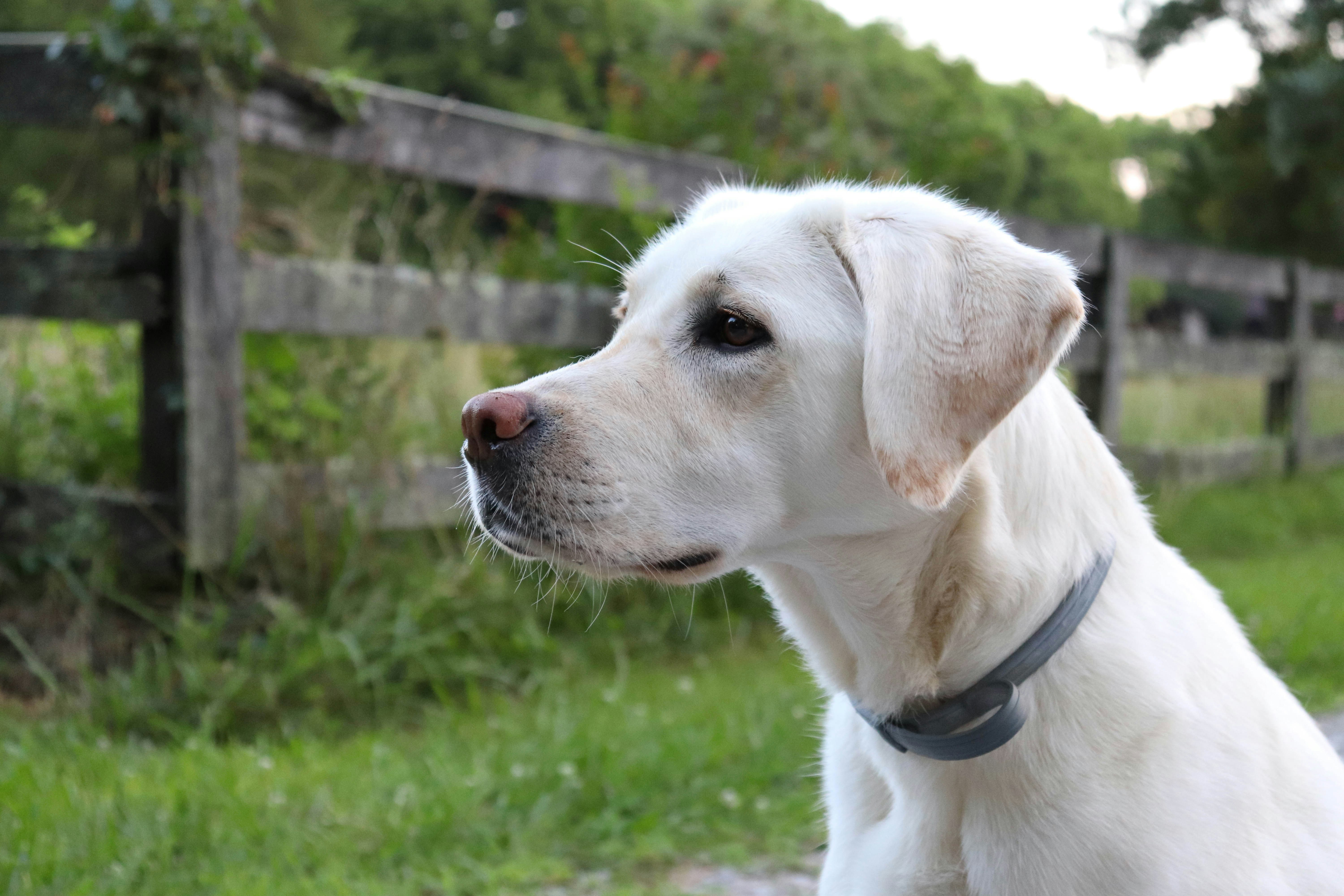 Photo by lroberts067