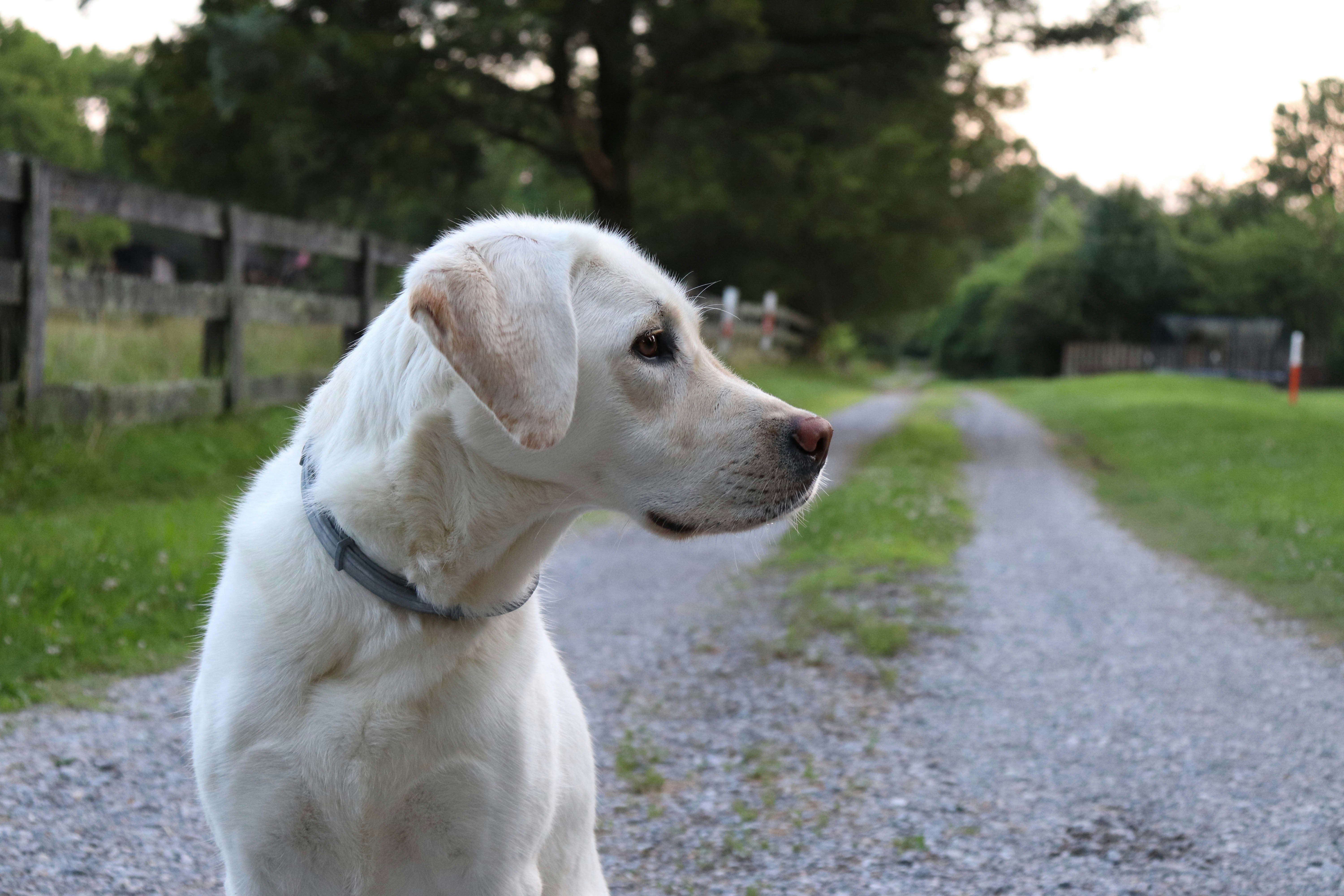 Photo by lroberts067